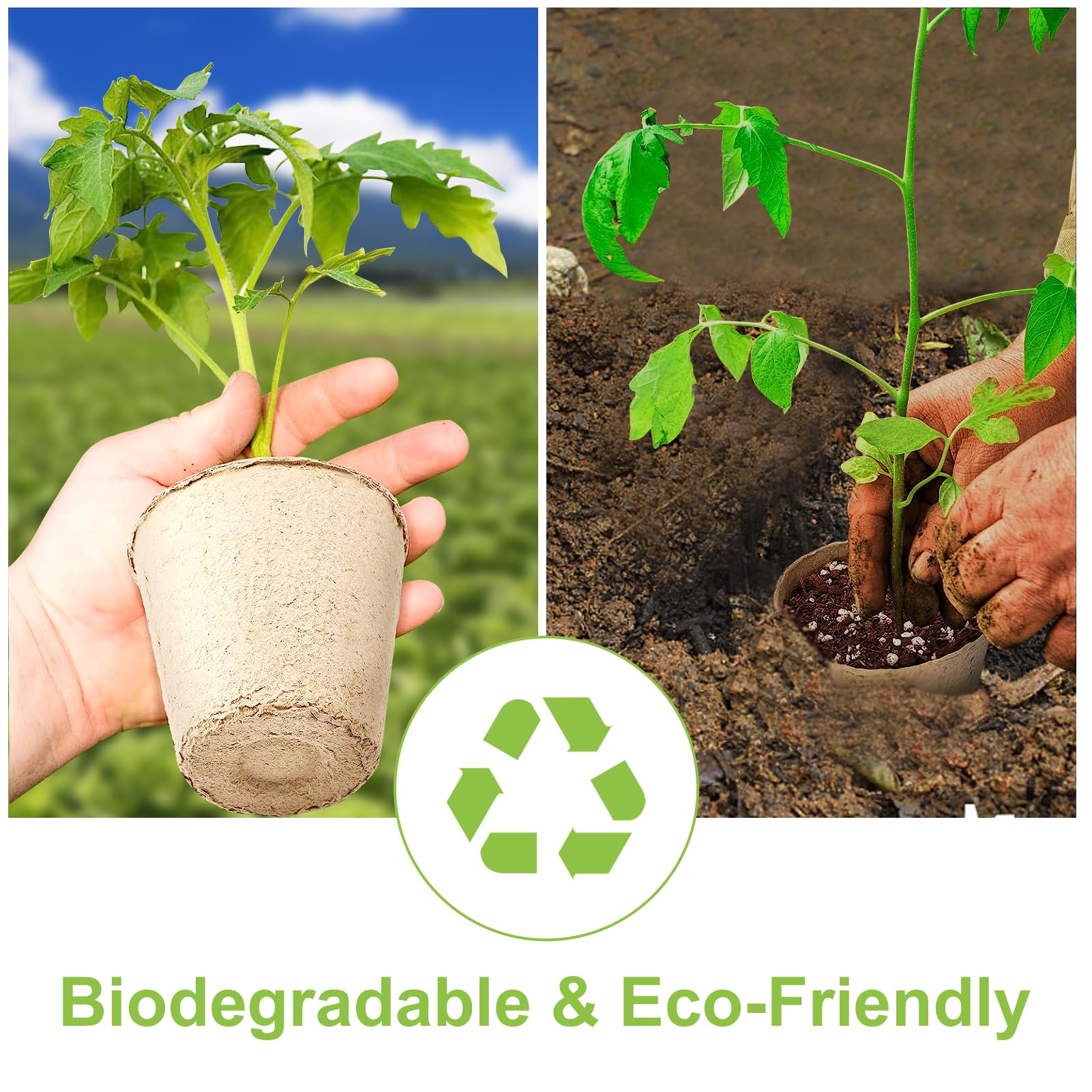 60 Piezas Pequeñas macetas de semillas de fibra biodegradables para plántulas con 120 Etiquetas de Plantas de Plástico