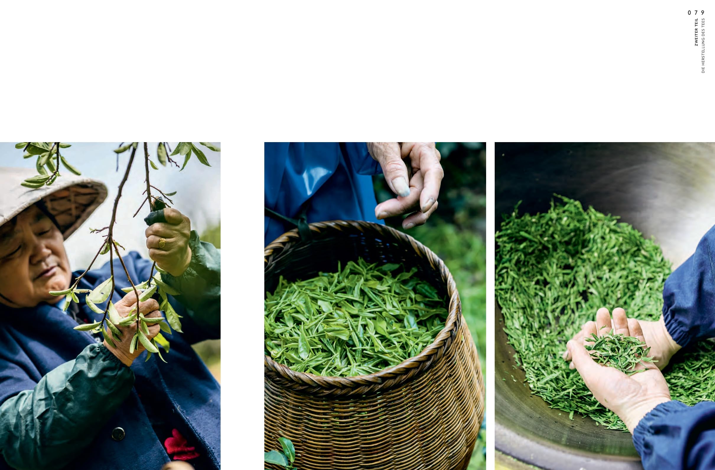 GONG FU CHA: Die Chinesische Teezeremonie. Tee als Handwerkskunst und das bewusste Genießen. Geschichte, Sorten & Zubereitung. Edle Ausstattung - das perfekte Geschenk für Teeliebhaber