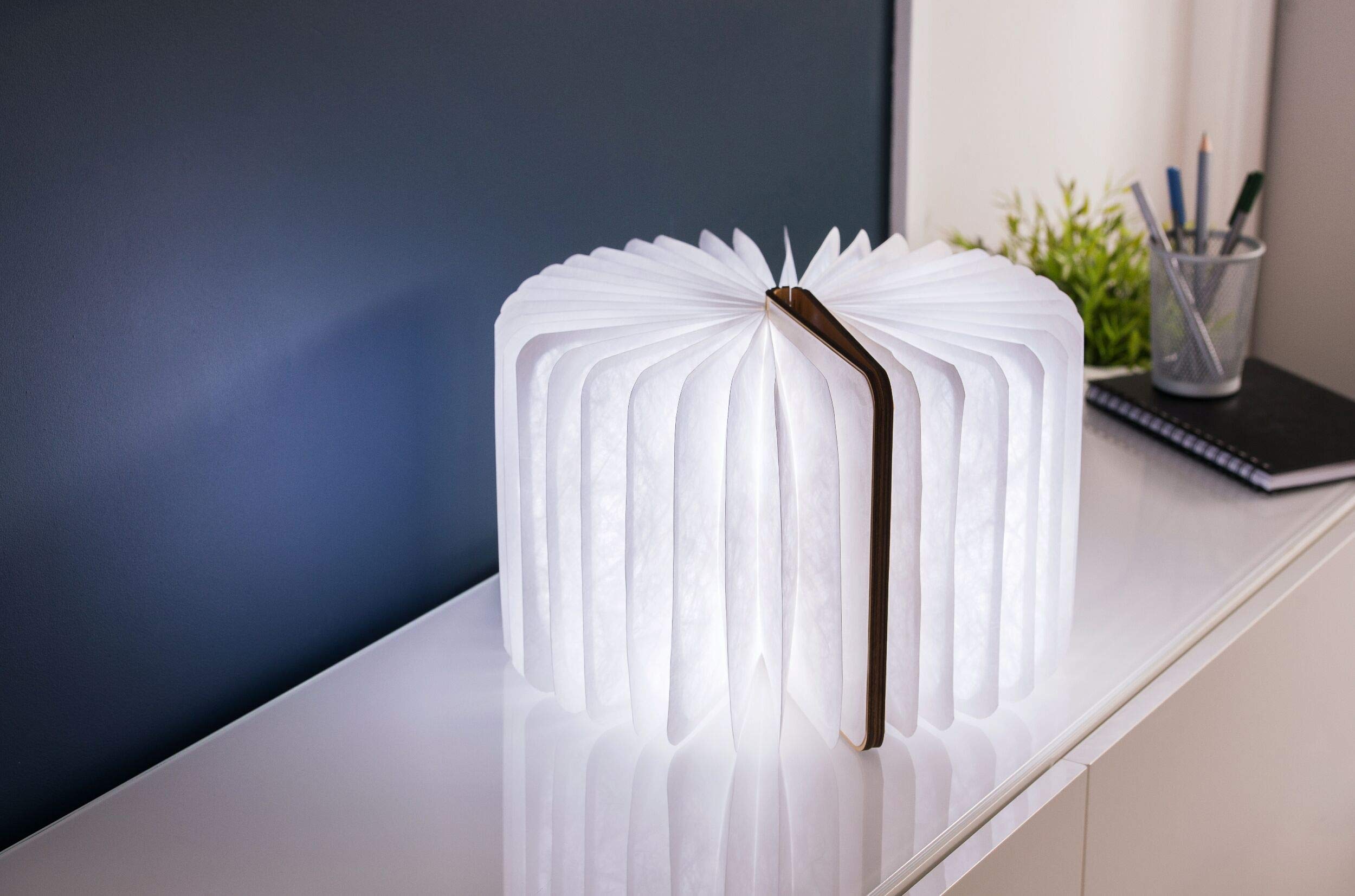 Gingko LED-Smartbook-Schreibtischleuchte mit natürlicher Holzoptik, wiederaufladbar mit Micro-USB-Ladegerät, Ahorn
