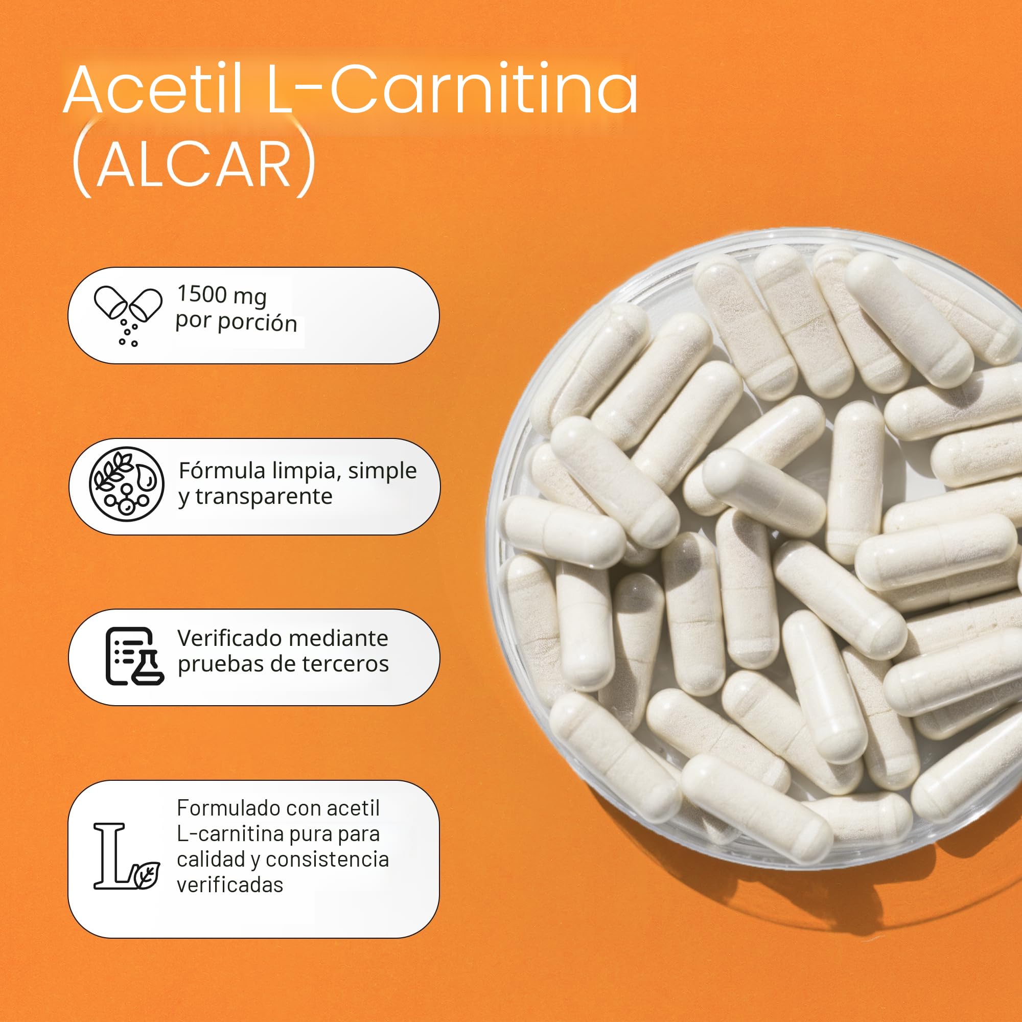 acetyl l carnitine 1500 mg para que sirve Amazon.com: NaturaLife Labs Acetil L-carnitina (ALCAR) 1500 mg por porción  – 100 cápsulas – Sin OMG, sin gluten, vegano : Salud y Hogar
