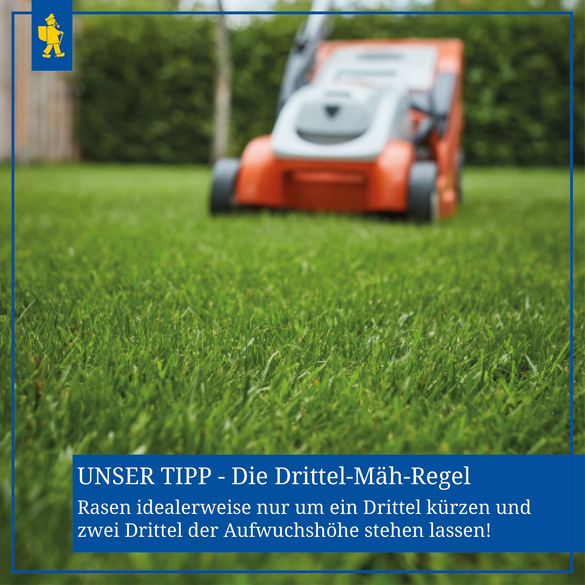 Kiepenkerl Profi-Line Sunny Green Rasen für trockene Standorte 666405 - Trockenrasen, Rasensamen sonnig, Rasen trocken, Rasensaat schnellkeimend, Qualitätsrasen aus Spitzensorten, 10 kg