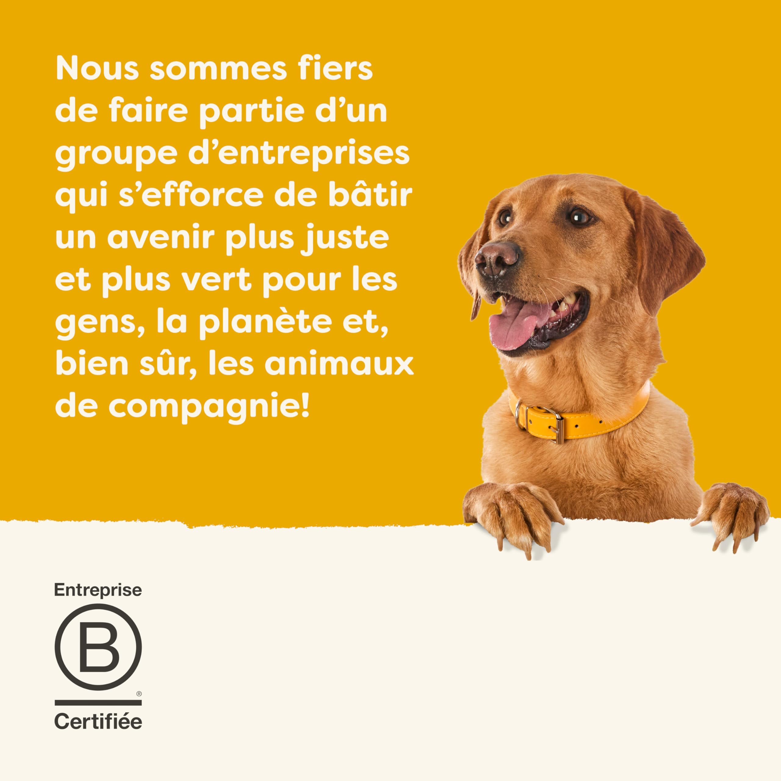 Applaws Nourriture Humide pour Chiens 100% Naturelle, Filet de Poulet avec Citrouille et Légumes en Bouillon - Lot de 12 boîtes de 156 g