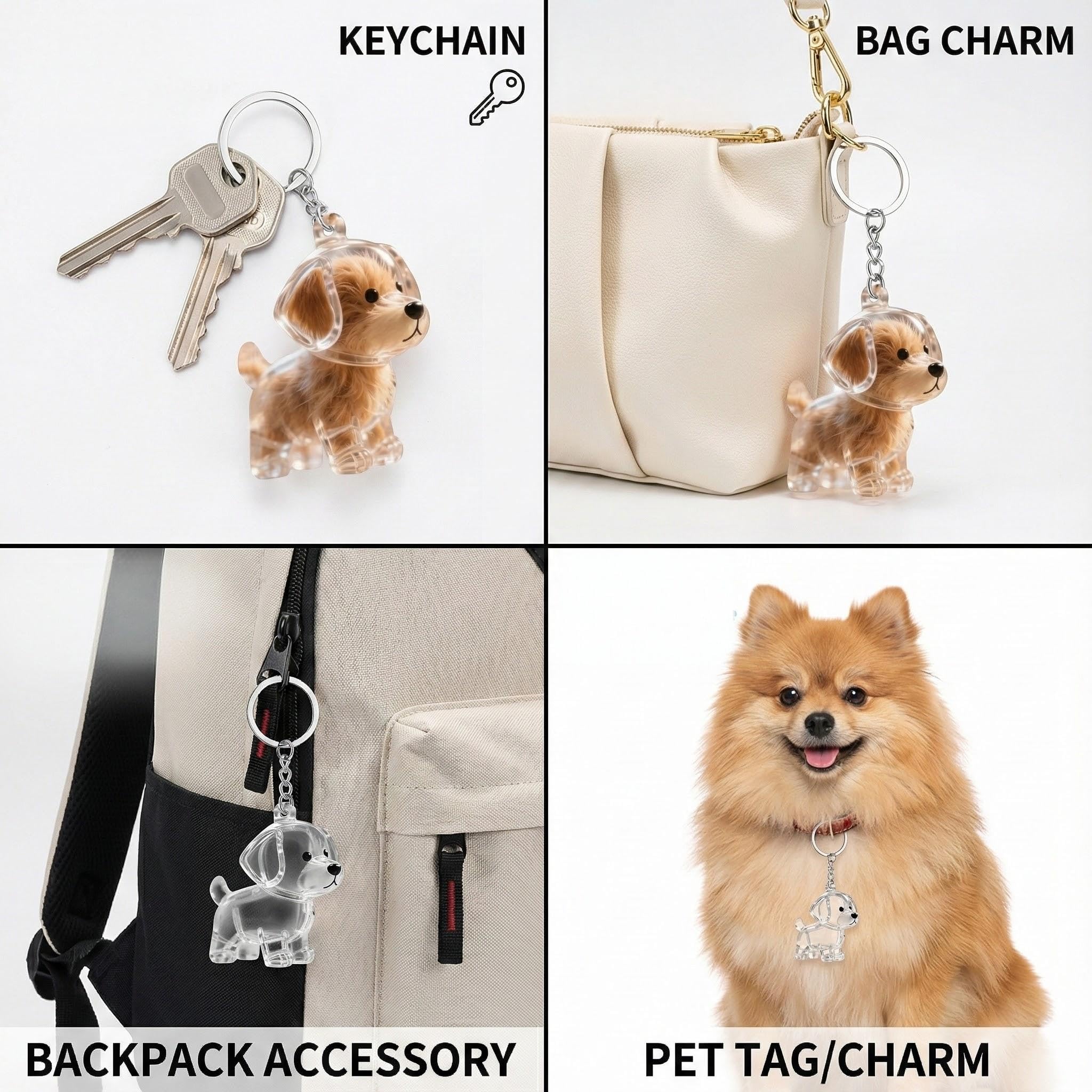 3 Portachiavi Capsule Trasparenti per Peli di Cani – Ricordo Commemorativo DIY, Ciondolo per Conservare Peli o Baffi del Cane, Portachiavi Memoriale per Amanti degli Animali