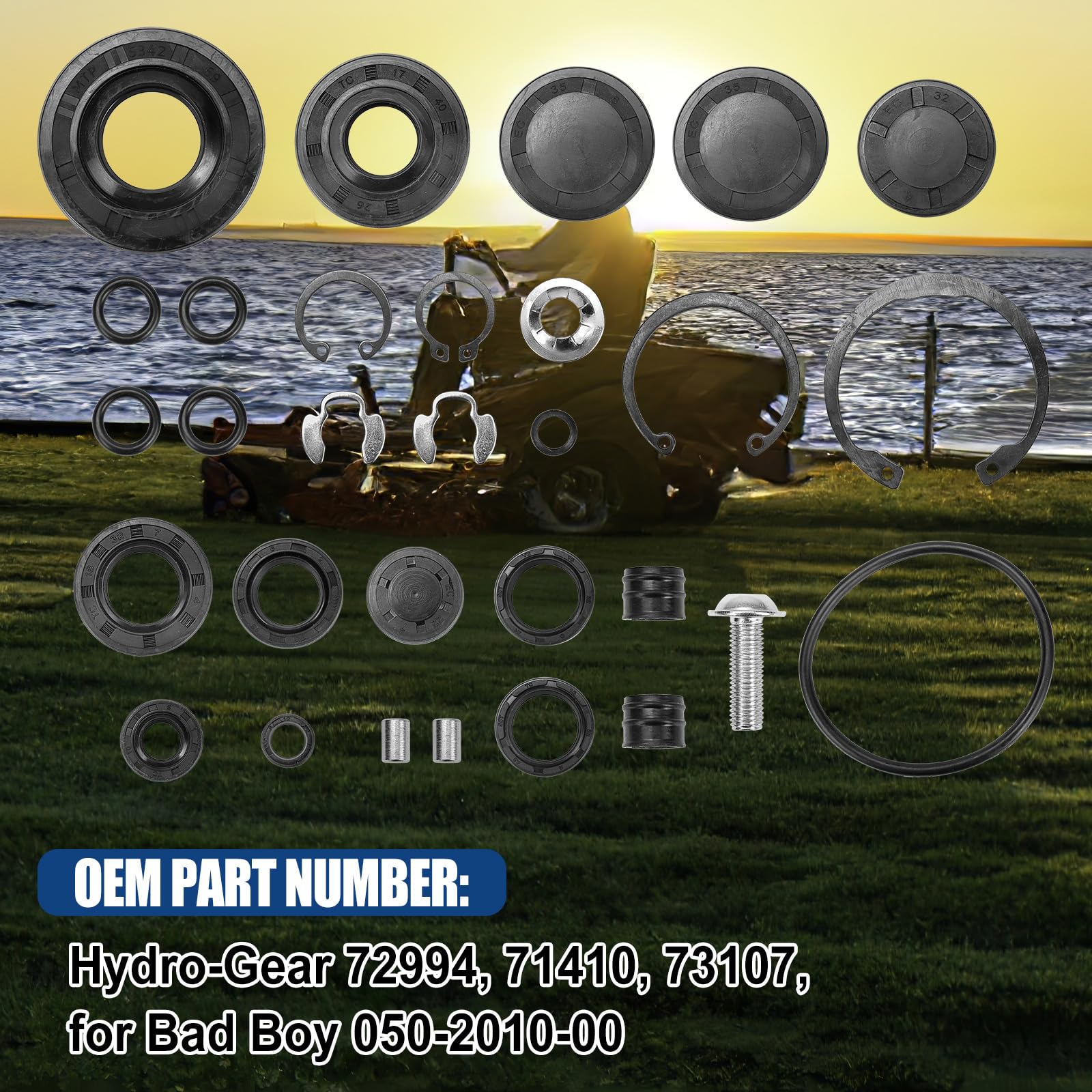 Amazon.com: Transmission Transaxle Seal Service Kit Replace 72994