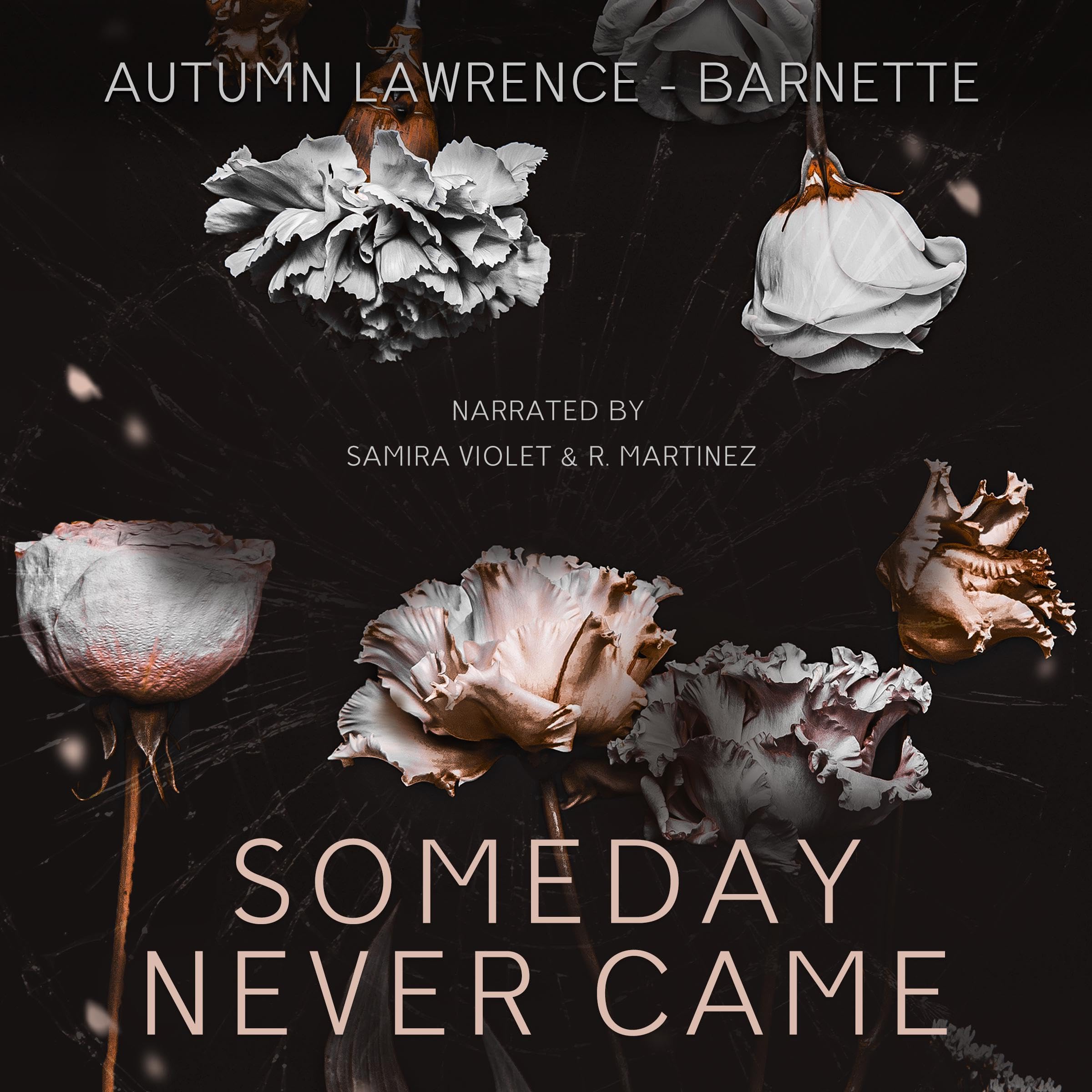 Cover art for Someday Never Came