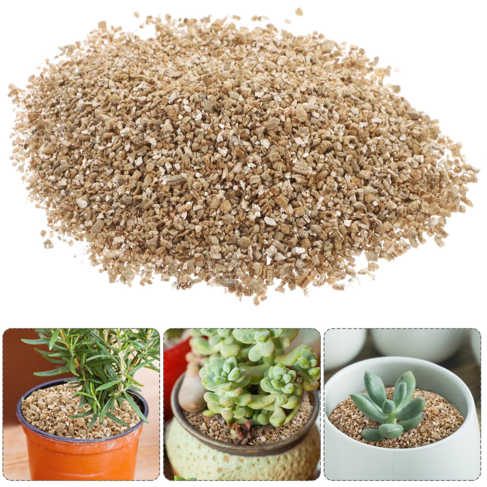 FRCOLOR Vermiculite Espansa 3l PH Neutro per Germinazione e Crescita di Piante e Animali da Terrario Ritenzione Idrica per Coltivazioni Domestiche e Agricole