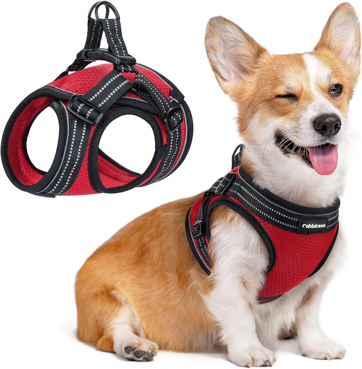 rabbitgoo Small Dog Harness, Soft Mesh Dog Harness with 4