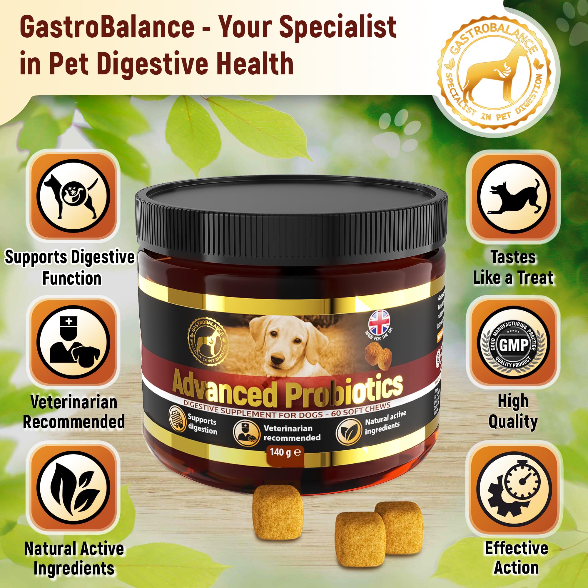Traitement Chien probiotiques – 60 croquettes Naturelles pré et probiotiques pour Chiens - Goût Poulet (English)