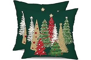 DFXSZ Christmas Throw Pillow Covers