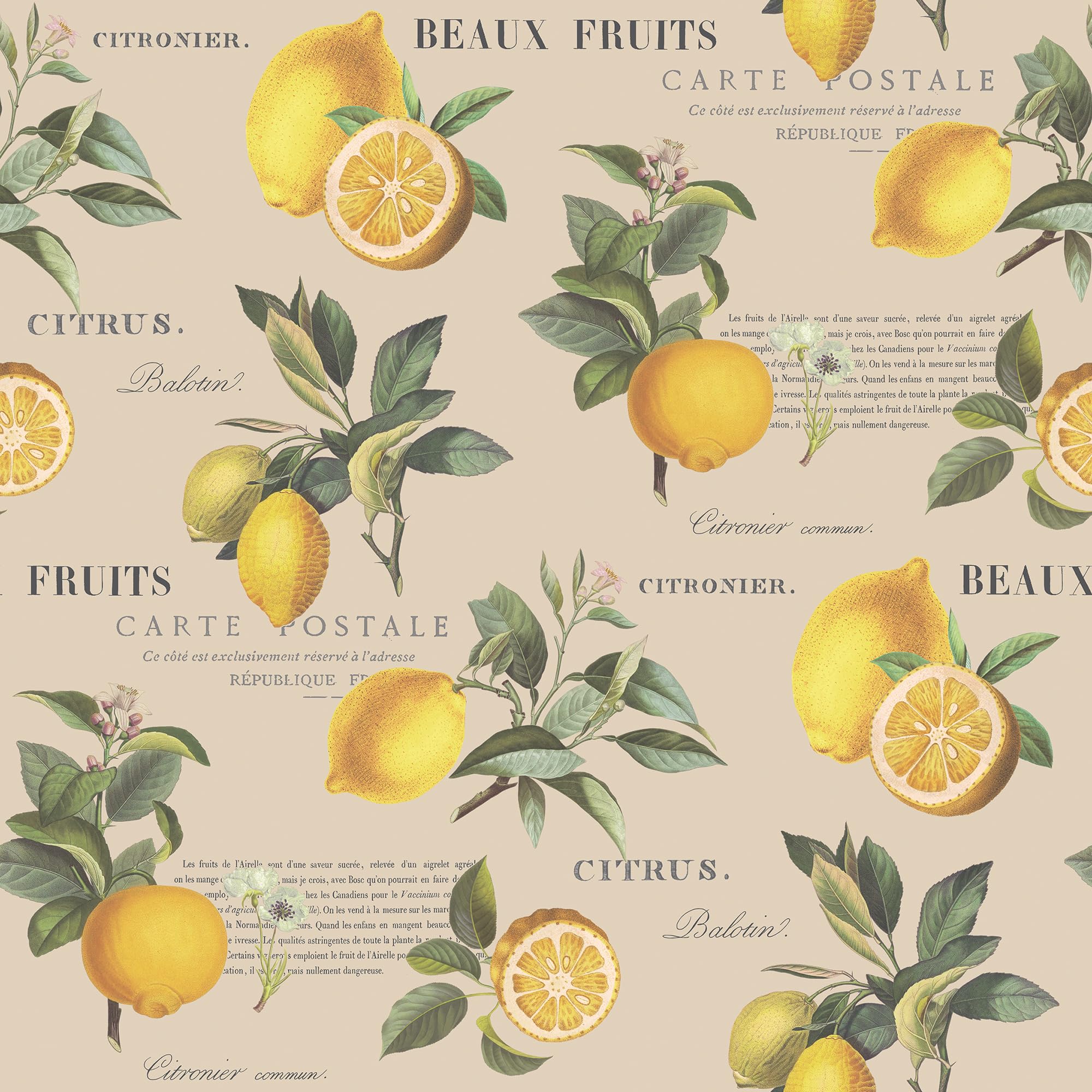 Galerie G45410 - Just Kitchens Citron Botanical Taupe Wallpaper