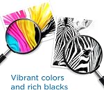 Original HP 64 Black Ink Cartridge | Works with HP ENVY Photo 6200, 7100, 7800 Series | Eligible for Instant Ink | N9J90AN