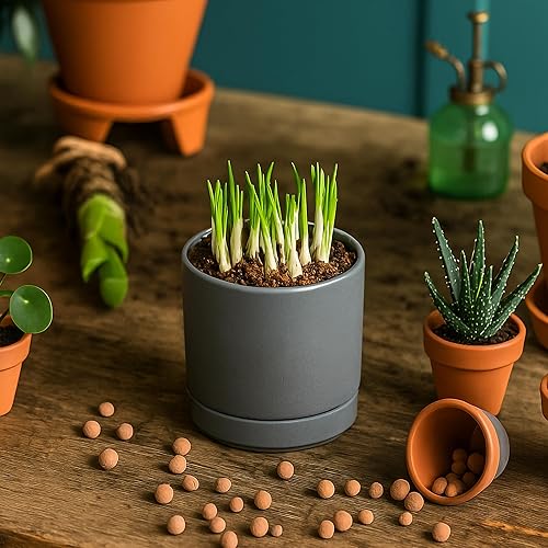 Miniatura 5 de D'vine Dev Juego de 4 macetas pequeñas de cerámica, maceta para suculentas de 3.5 pulgadas para plantas con orificio de drenaje y platillo, gris,