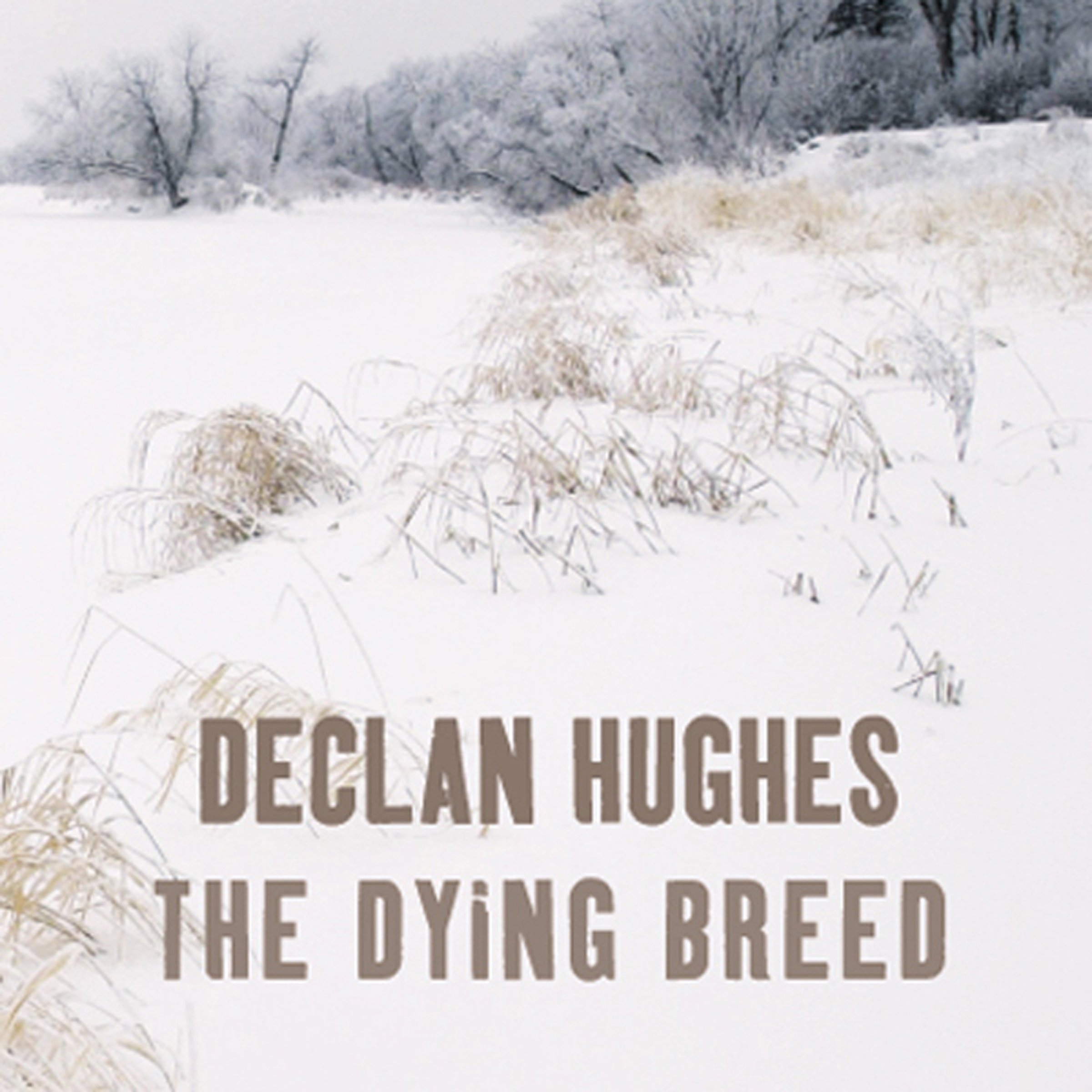 Cover art for The Dying Breed