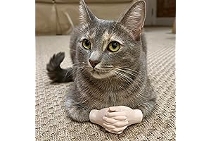 Original Cat Costume Hands for Cats to Wear, Funny Tiny Cat Hands