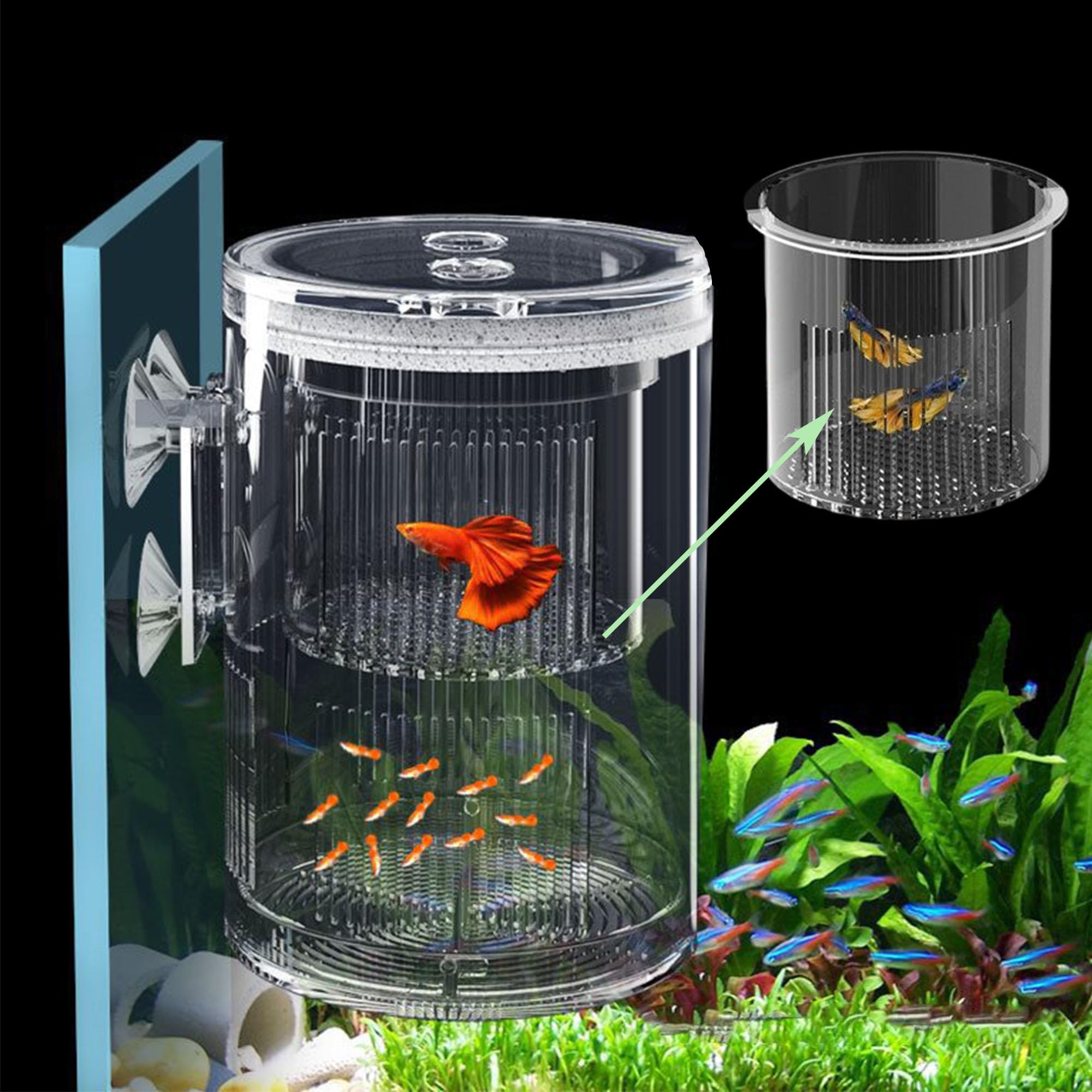 Forme Cylindrique Boîte D'éLevage pour Aquarium, Boîte D'éLevage pour Poissons D'Aquarium, Double Couche, Transparent, Incubateurs avec Ventouses, pour Poissons Agressifs Blessés