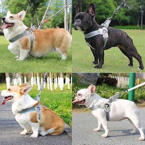 Miniatura 7 de DUOMM - Arnés para perro sin tirones, acolchado de malla reflectante para cachorro, arnés ajustable cómodo y de fácil ajuste, para perros pequeños,