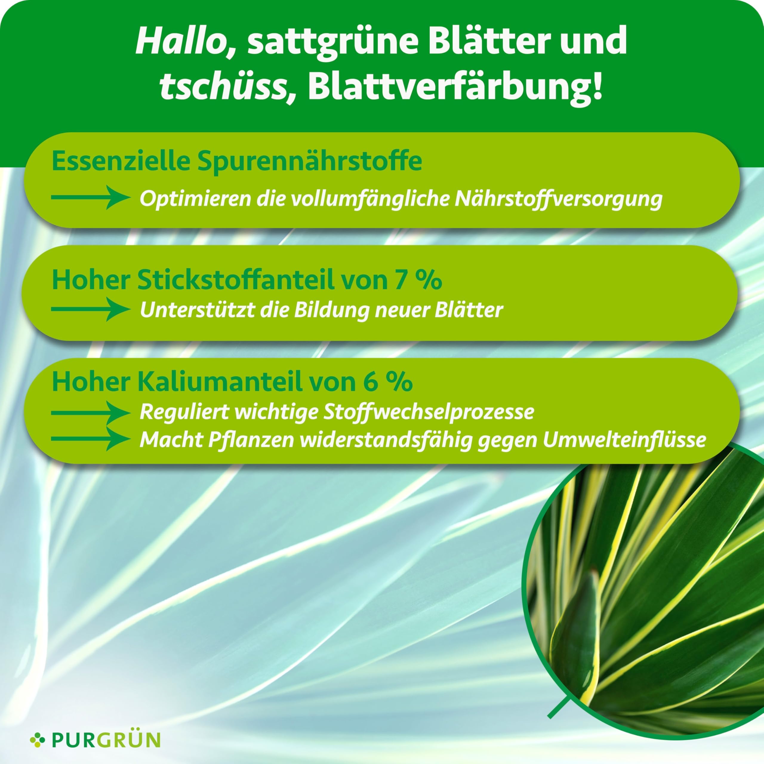 Yuccapalme-Dünger 1 Liter – Schnelles Wachstum dank Stickstoff – Premium-Flüssigdünger mit Spurennährstoffen – Stärkt die Widerstandskraft – Ergiebiges Konzentrat für 400 Liter Gießwasser