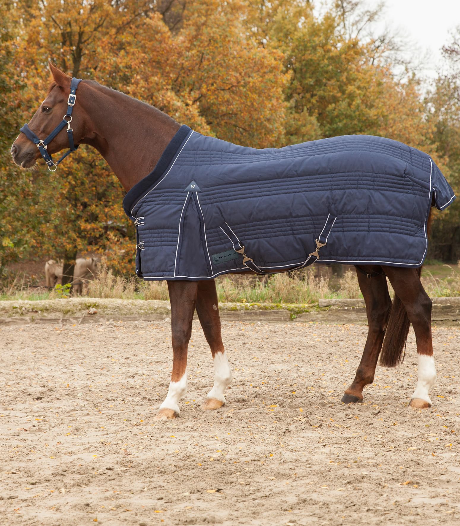 Waldhausen – Manta para Comfort Line, 100 g