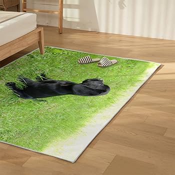 Amazon | ラグマット 黒い犬草 カーペット 草原 絨毯 80x120