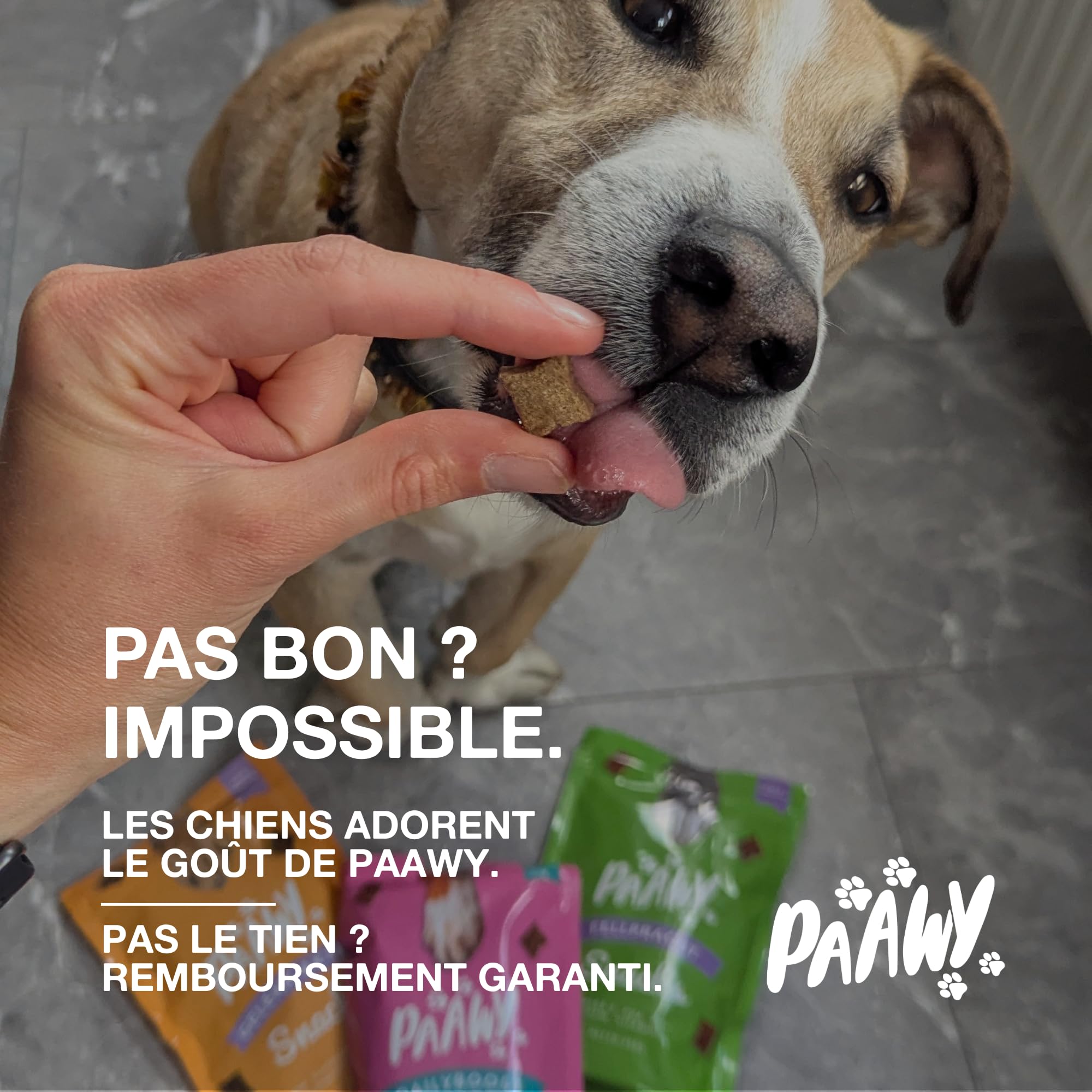 Articulation Chien | Test Tres Bien 2025 | Délicieux Complément Alimentaire pour Arthrose Chien | Glucosamine, Chondroïtine, Harpagophytum & Moule Verte | Mobilité & Anti-Arthrose | 180 Snacks