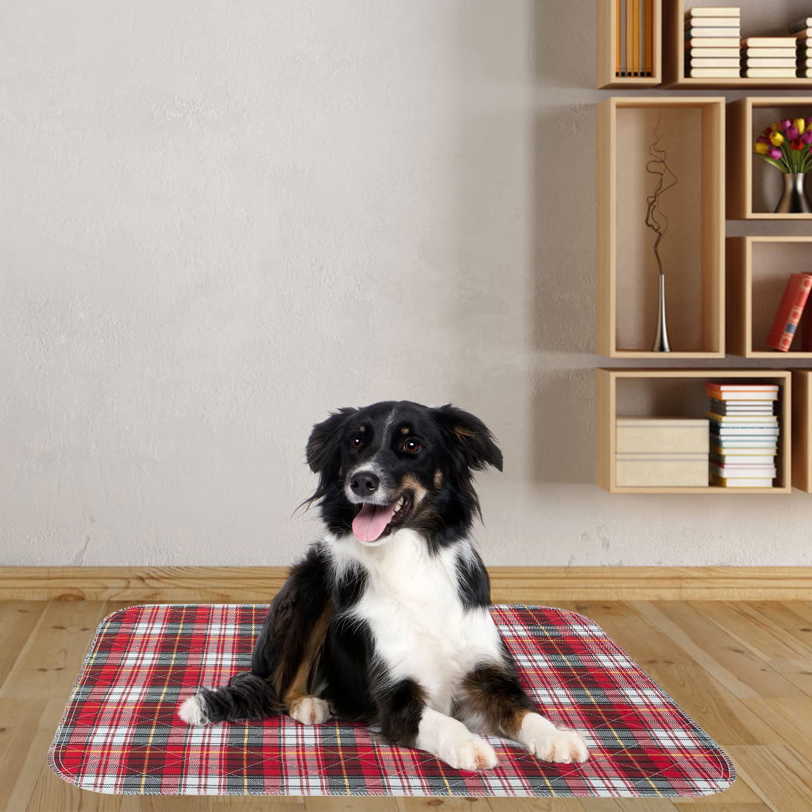 KOOLTAIL Almohadillas lavables para orina para perros, impermeables y antideslizantes, almohadillas de entrenamiento para cachorros, almohadillas reutilizables, alfombrilla de alimentación de comida