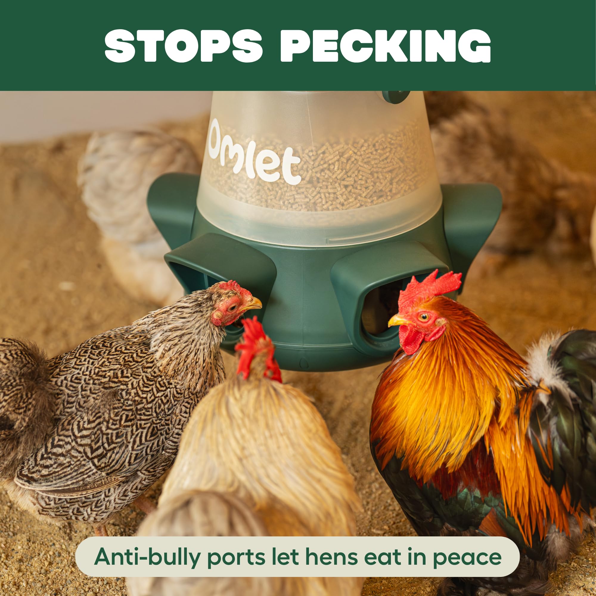 Omlet Mangiatoia per polli, senza sprechi, senza BPA, 5 porte anti-bullo, facile da pulire, nutre 6 galline per 7 giorni, 5 kg