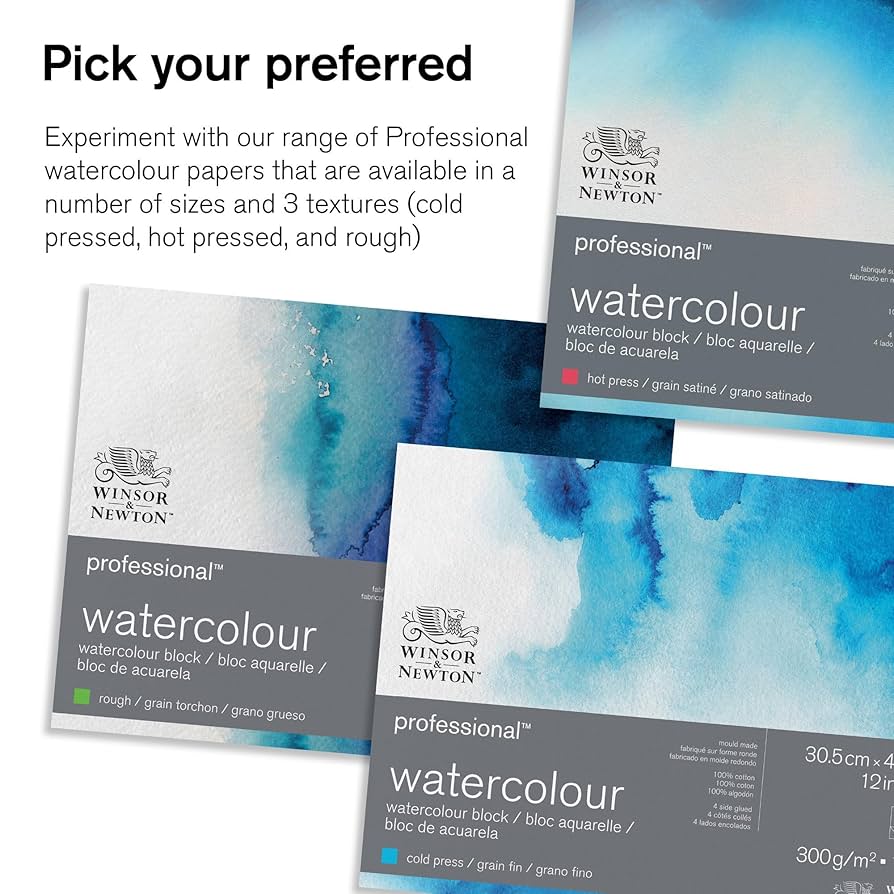 The Golden Age of Watercolours　洋書 The Golden Age of Dutch and Flemish Painting |