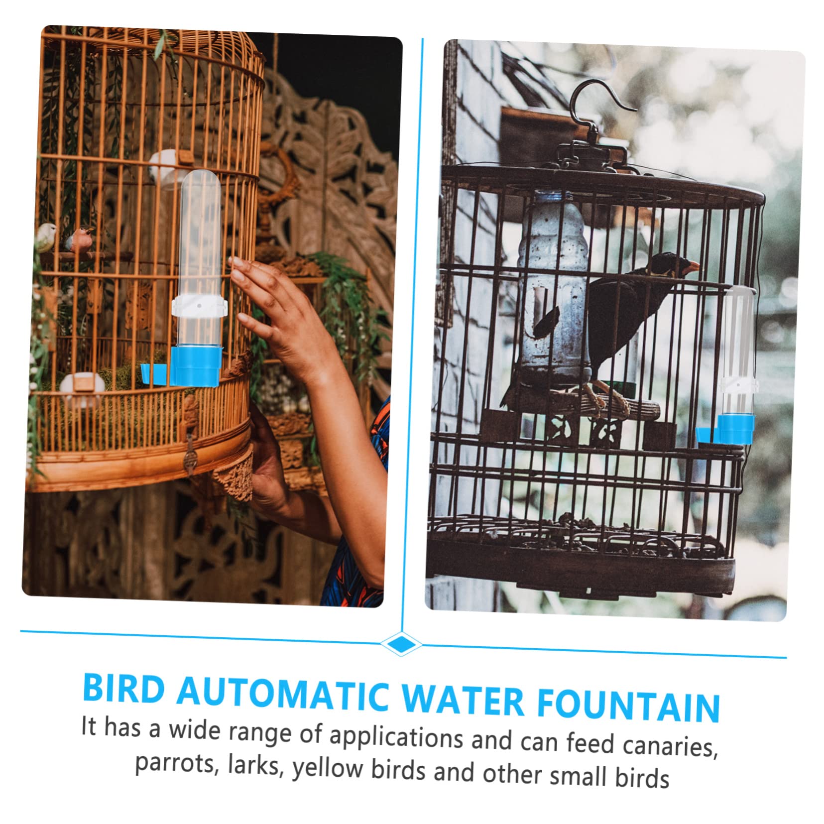 Abaodam Parrot Water Fountain Bird Feeder Bird Drinking Tool Plastic Easy to Clean