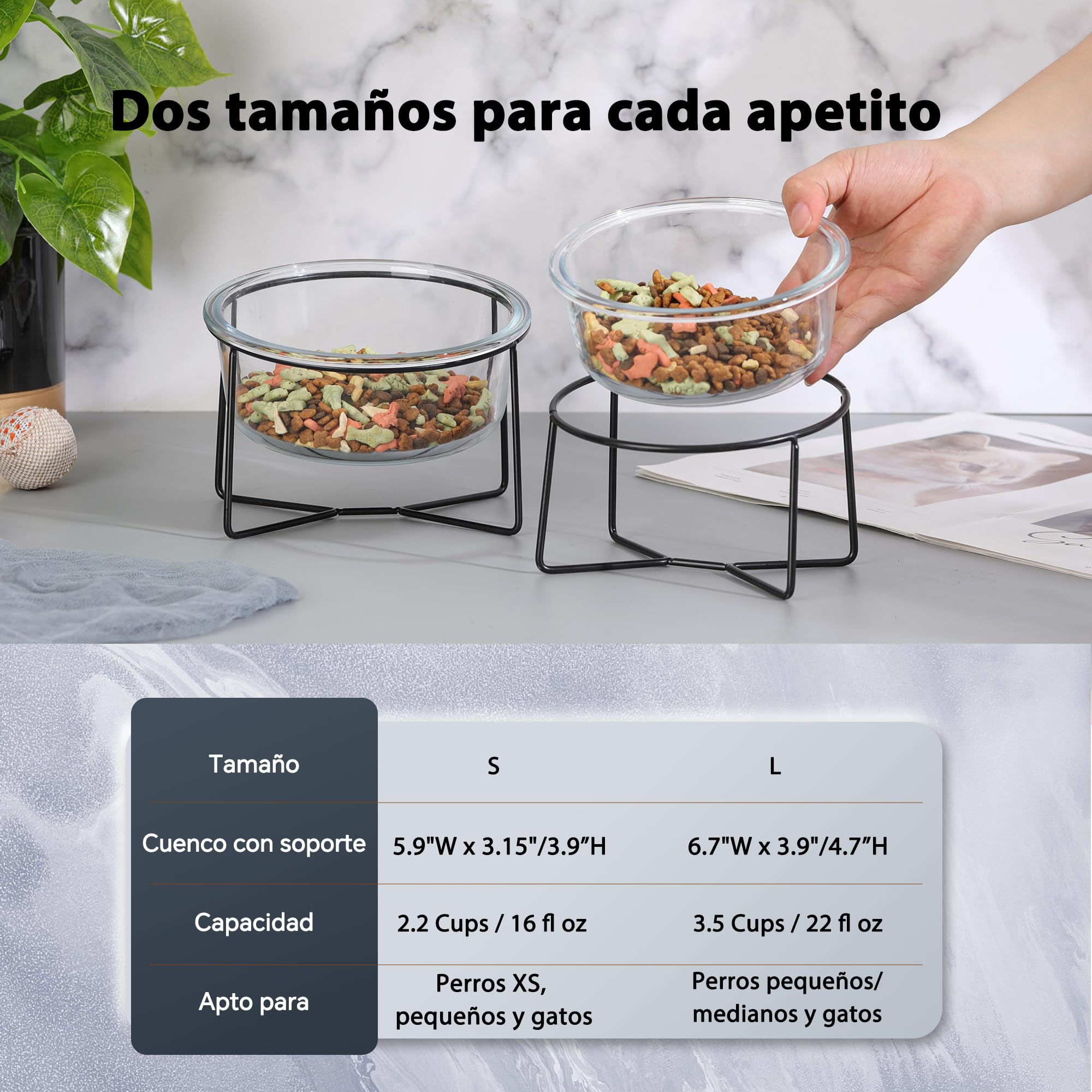 Comedero Elevado para Gato con Soporte, Cuenco de Cristal 460 ml para Agua y Comida, Apto para Perro Pequeño y Cachorro