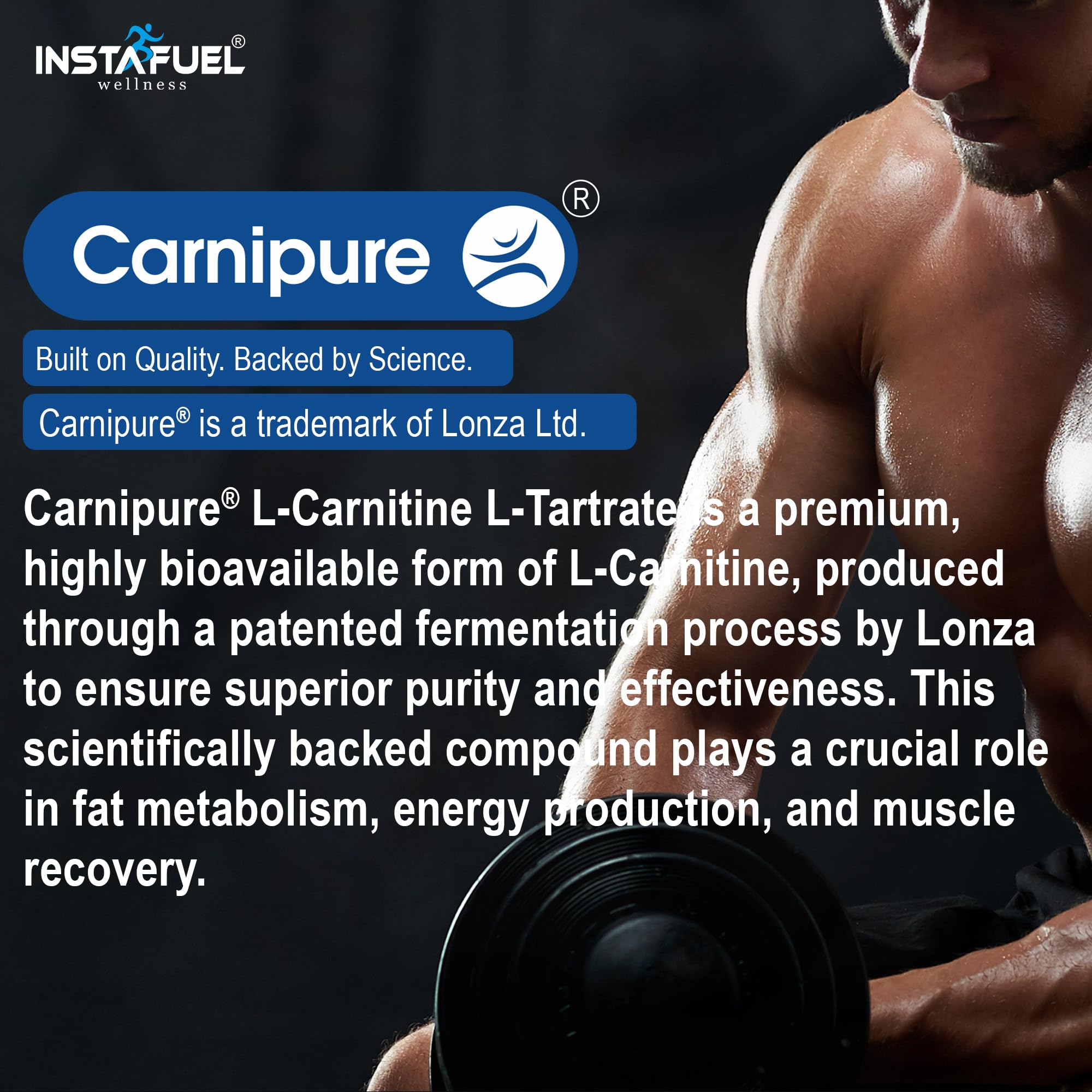 Instafuel Carnipure® L-Carnitine L-Tartrate 1000mg - Ultimate Pre & Post  Workout Supplement for Energy Production, Weight Management, Muscle  Recovery, Boost Performance & Brain Power