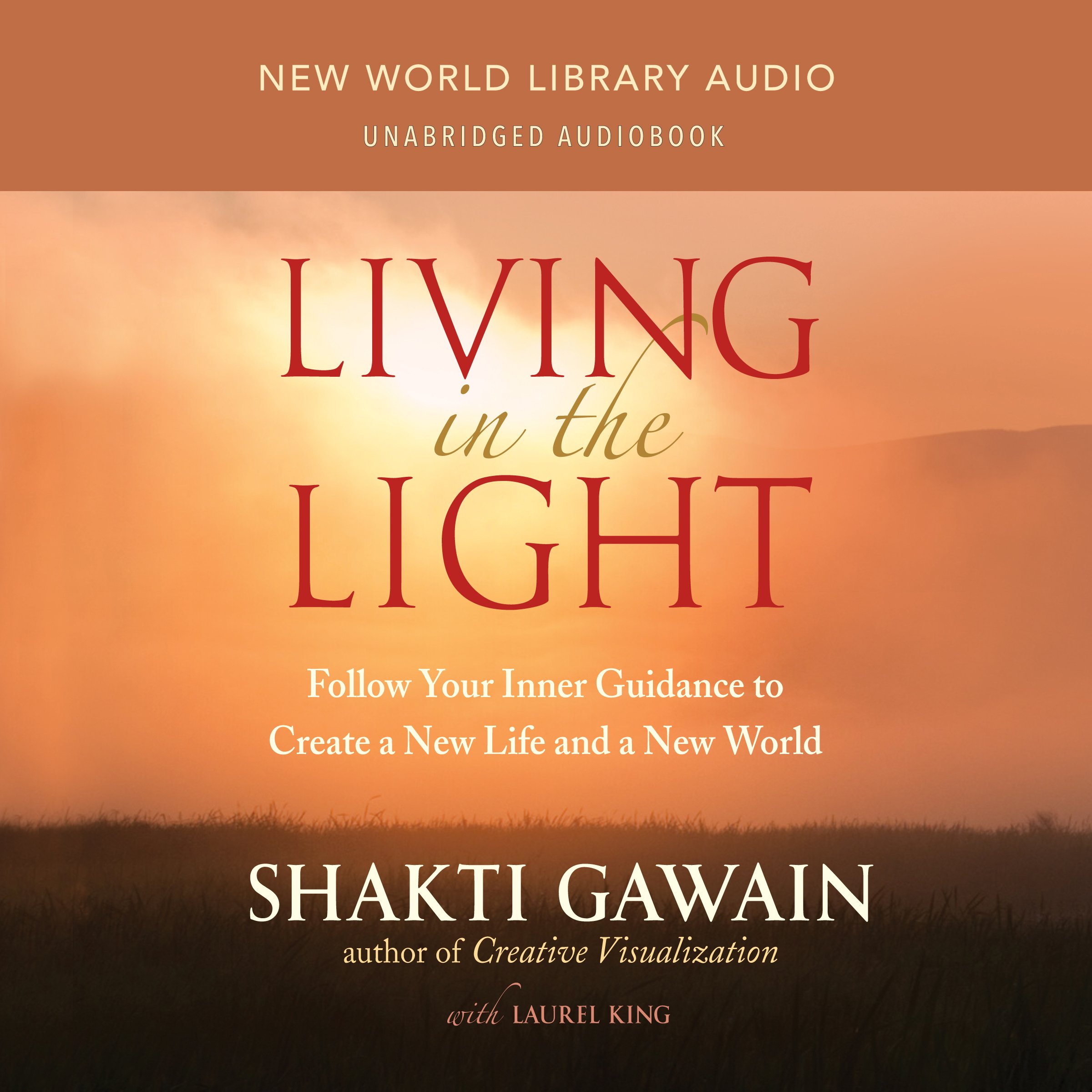 Cover art for Living in the Light