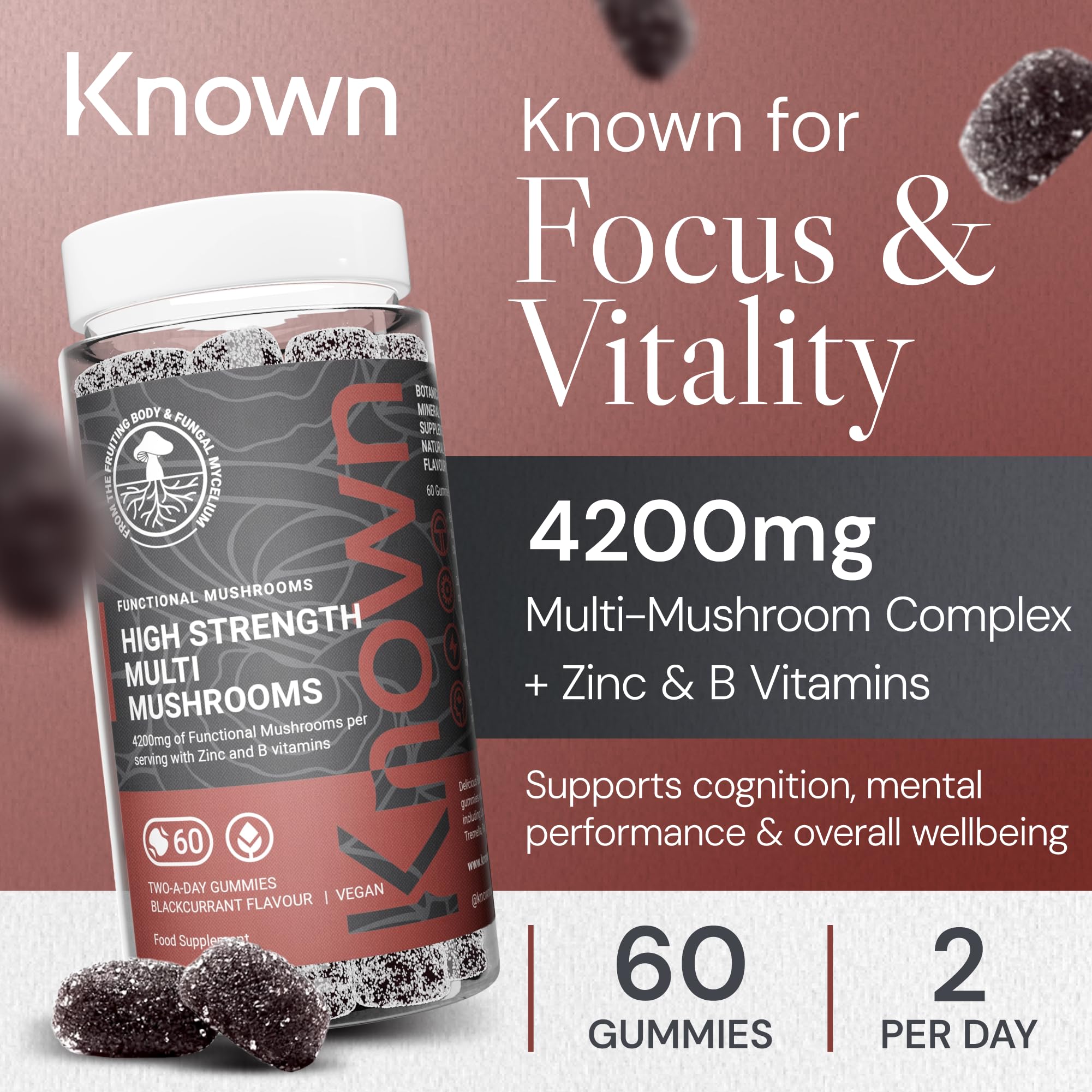 Gummies Multi-Champignons Haute Concentration – Avec Crinière de Lion, Reishi, Chaga, Maitake, Cordyceps, Tremella – Saveur Cassis – 60 Gummies Végans (30 Jours)