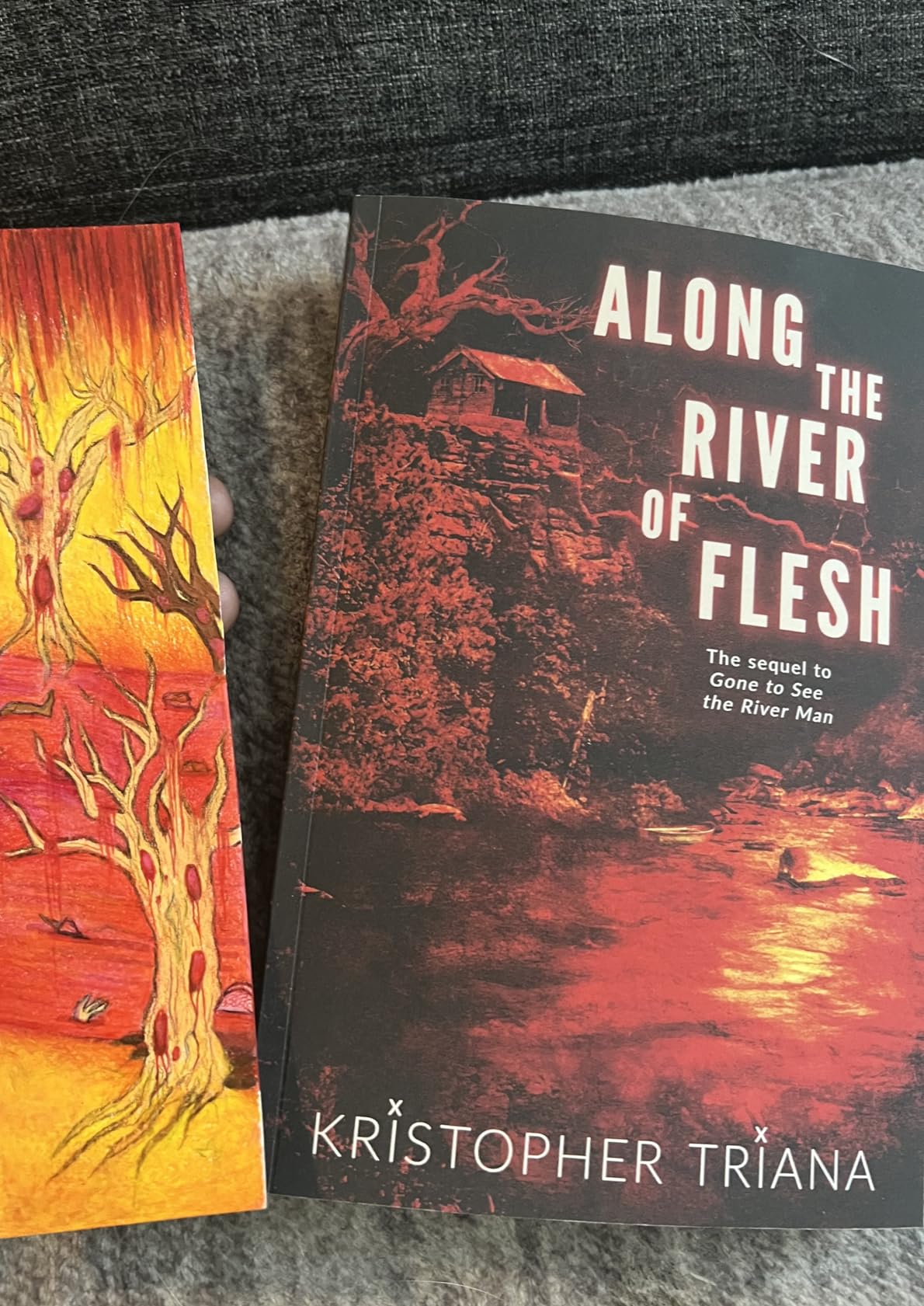Along the River of Flesh (Gone to See the River Man Series Book 2) Kindle edition by Triana