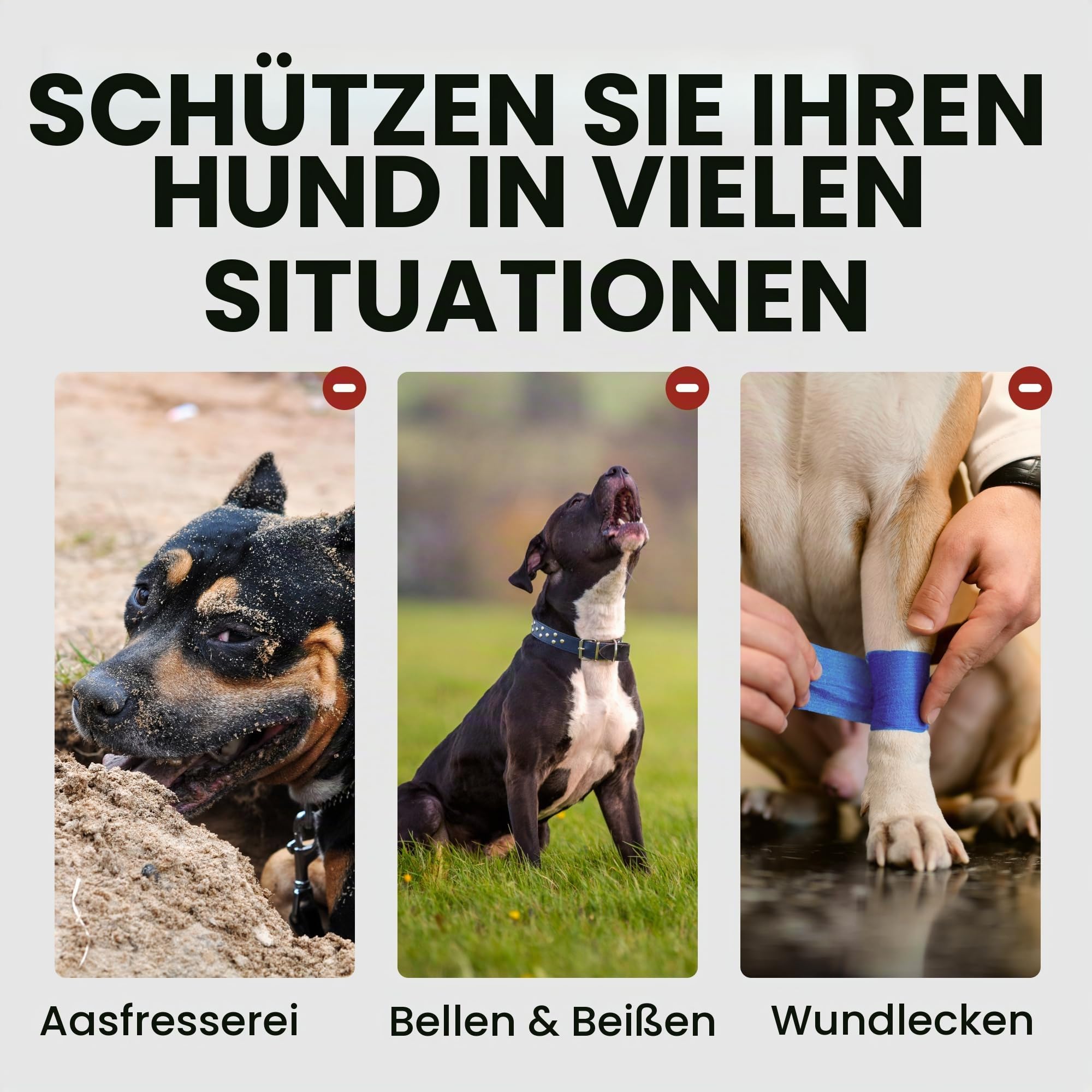 BRONZEDOG Drahtkorb Hund Maulkorb Metall Hund Maulkorb Leder verstellbar (Size 5: Belgian Malinois & Golden Retriever)