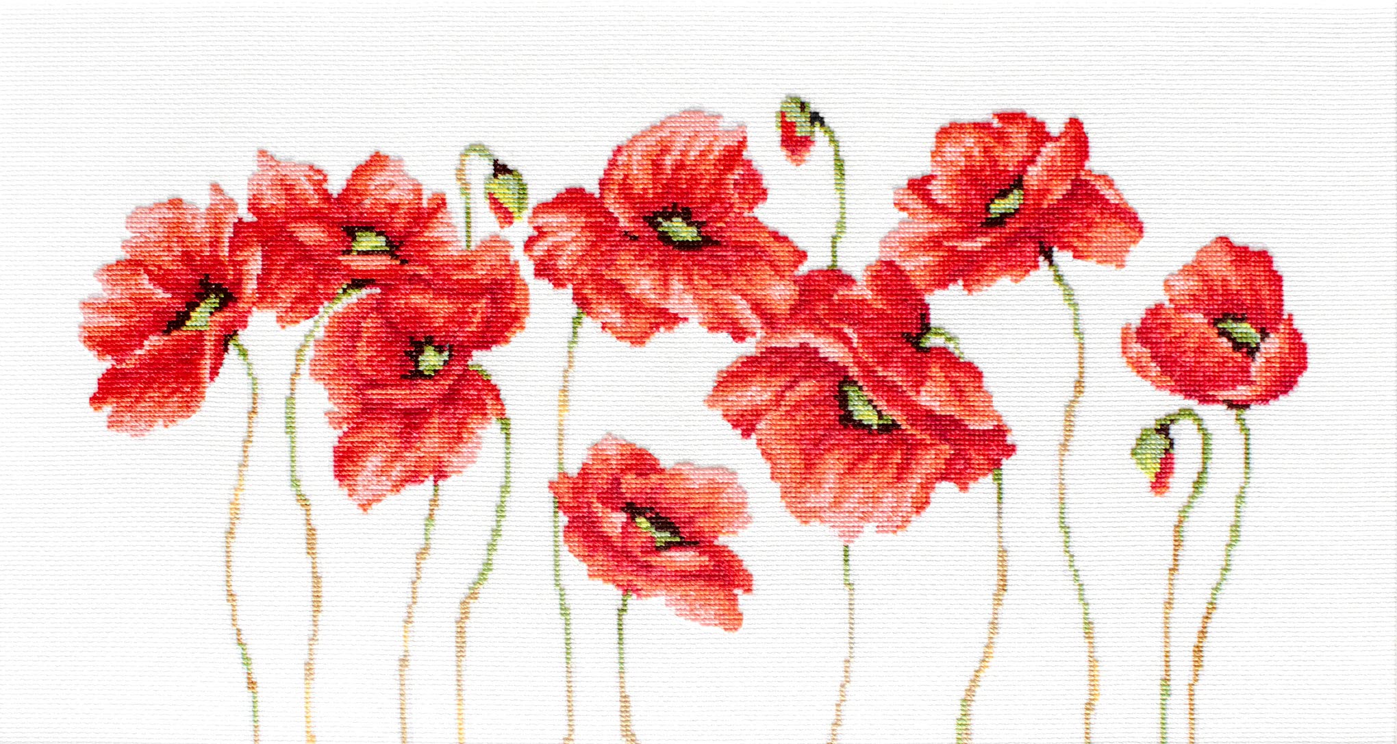 Luca-S counted Cross Stitch kit ""Poppies I"", 40x23,5cm, DIY