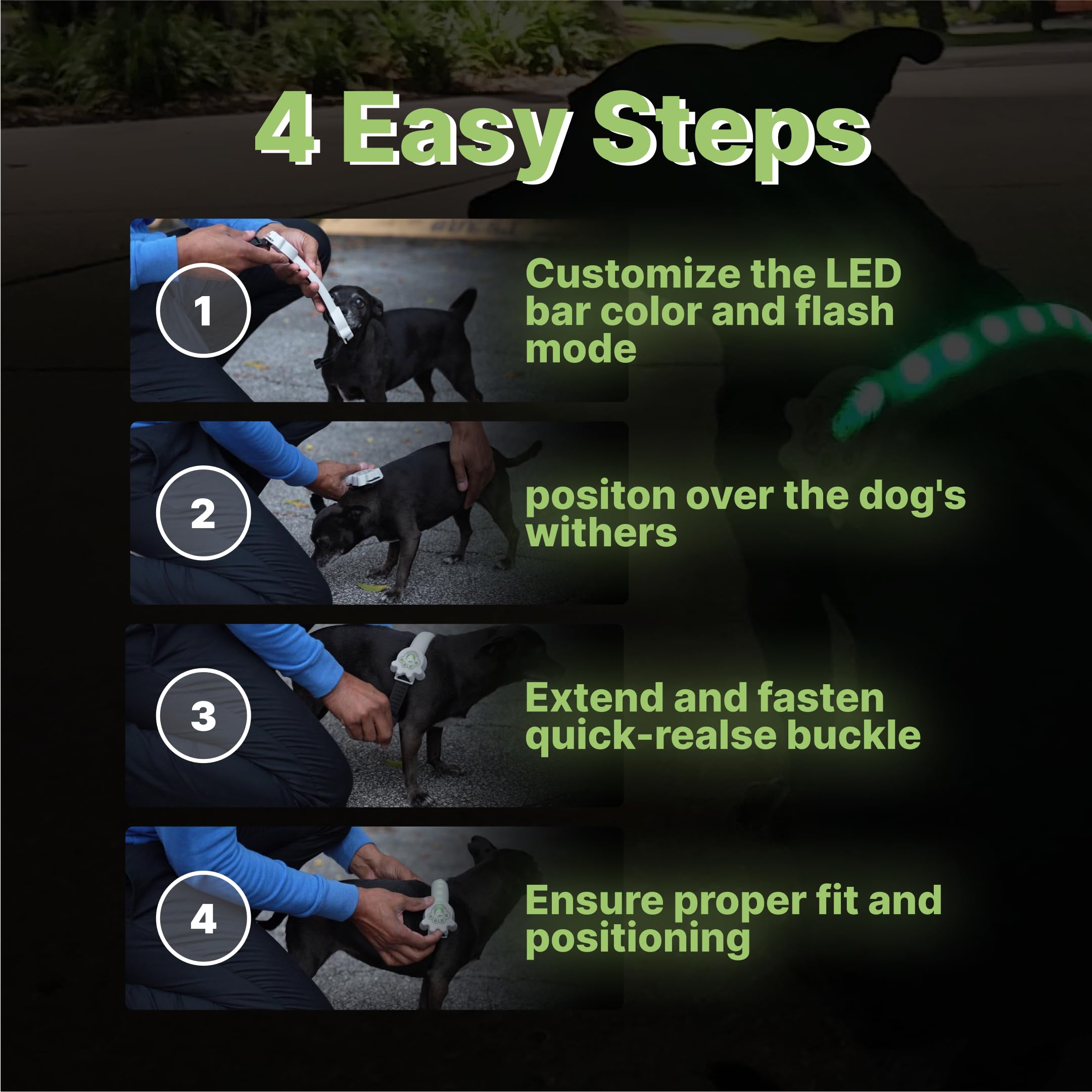 Collar de perro Better Than Light Up para perros pequeños, collar de perro LED recargable, dispositivo de seguridad para perros con un diseño único estilo cinturón