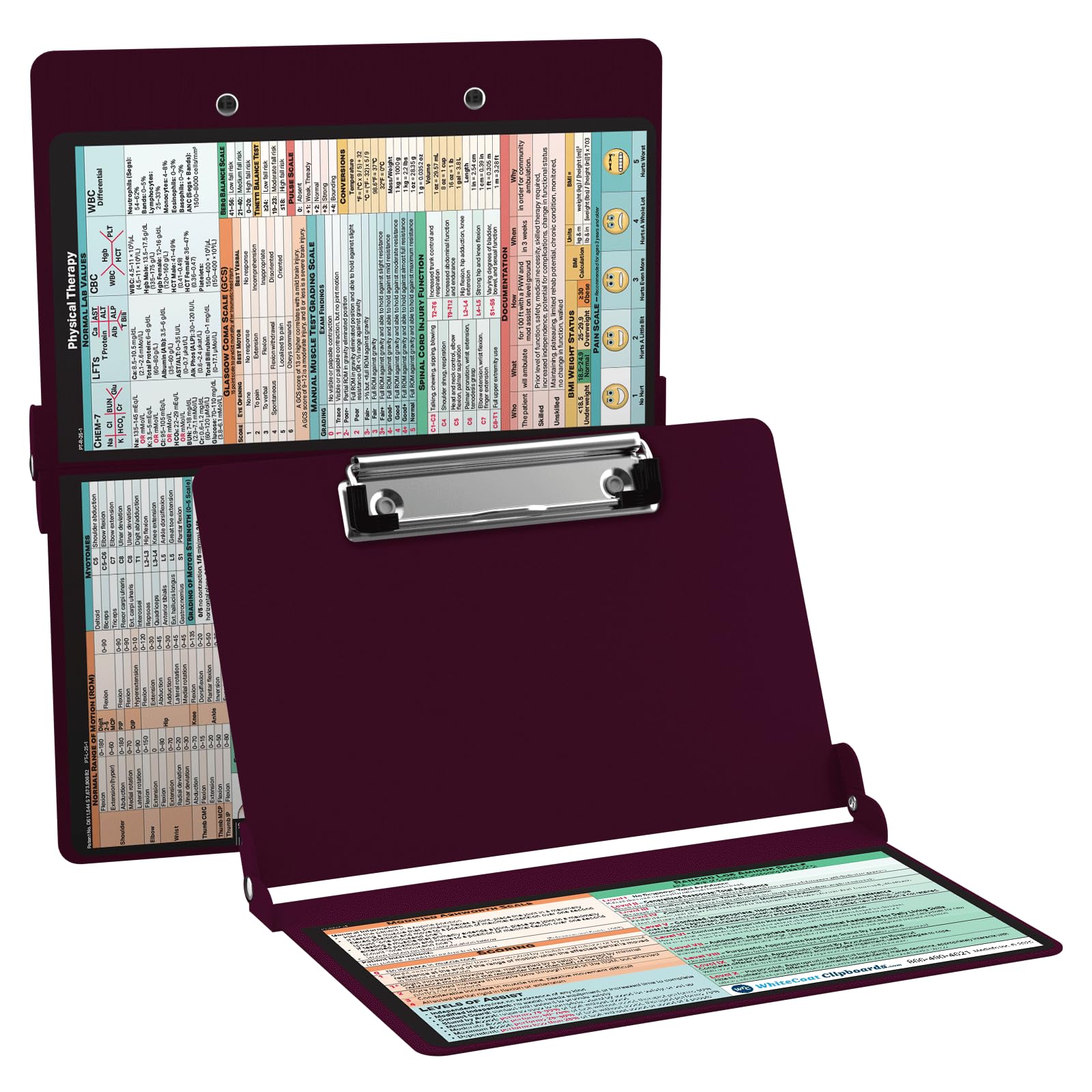 Whitecoat Clipboard® - Physical Therapy Edition (Wine, Bifold)