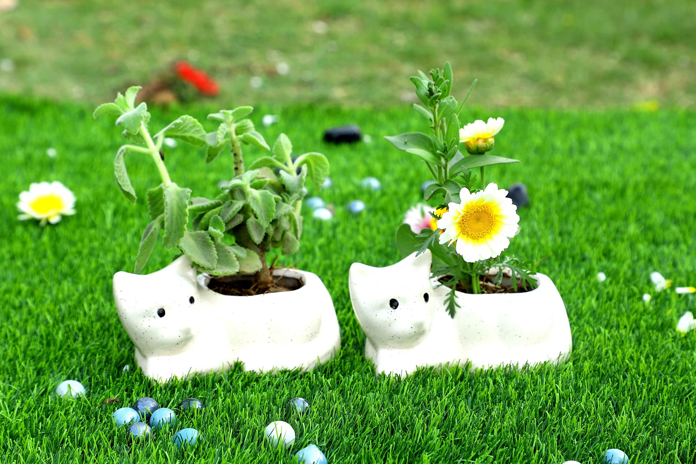 Lyallpur Stores Ceramic Pots for Plants Cat Shape - Small Size (White Color, 7 cm) Ceramic Planters for Indoor Plants, Living Room. [Plant Not Included, Pack of 2] (B093FR85NR) Amazon Price History, Amazon Price Tracker