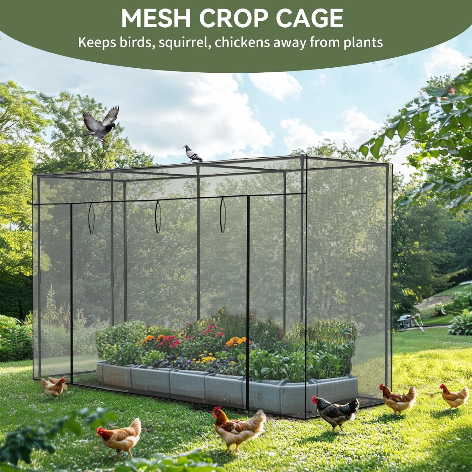 A large mesh crop cage in a garden with chickens outside, illustrating its function to keep animals away from plants.