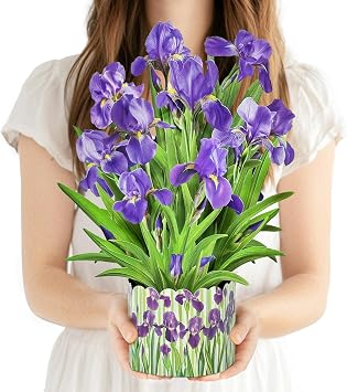 3D Greeting Cards Pop Up Cards 16" Iris Paper Flower Bouquet Gifts for Women Mom Wife Birthday, Anniversary, Get Well with Note Card & Envelope, Romantic Iris