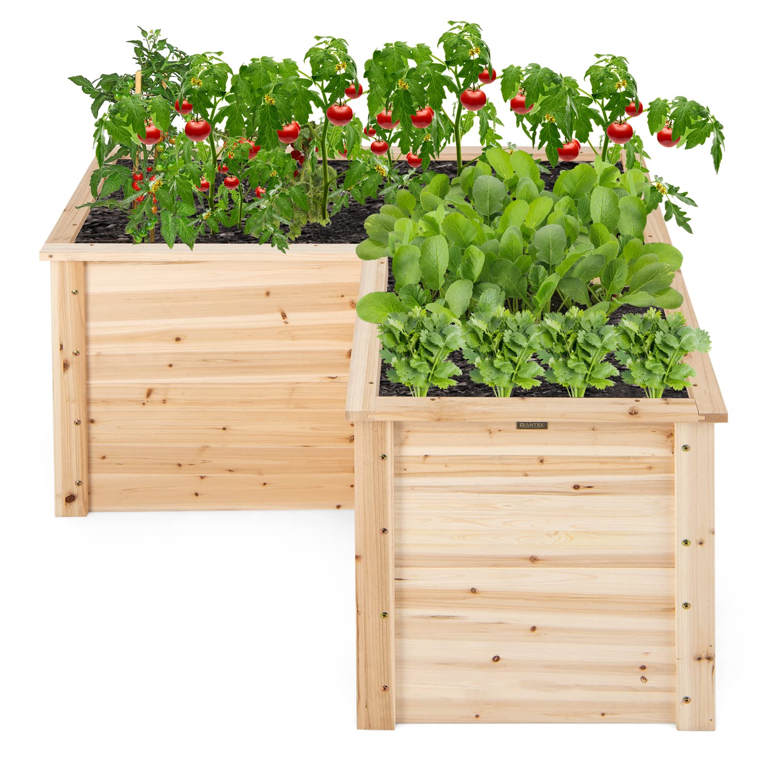RELAX4LIFE Hochbeet Holz, Blumenbeet ohne Bodenplatte, Pflanzkasten Anzuchtbeet, Pflanzenbeet Frühbeet Gemüsebeet für Balkom Terrasse Garten Outdoor (L-formig)