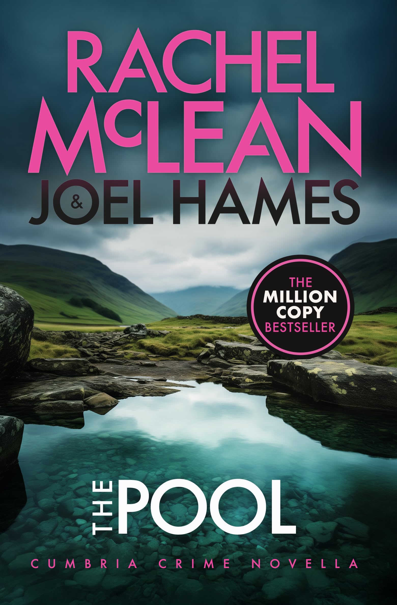 The Pool by Joel Hames PAPERBACK 9781835602379