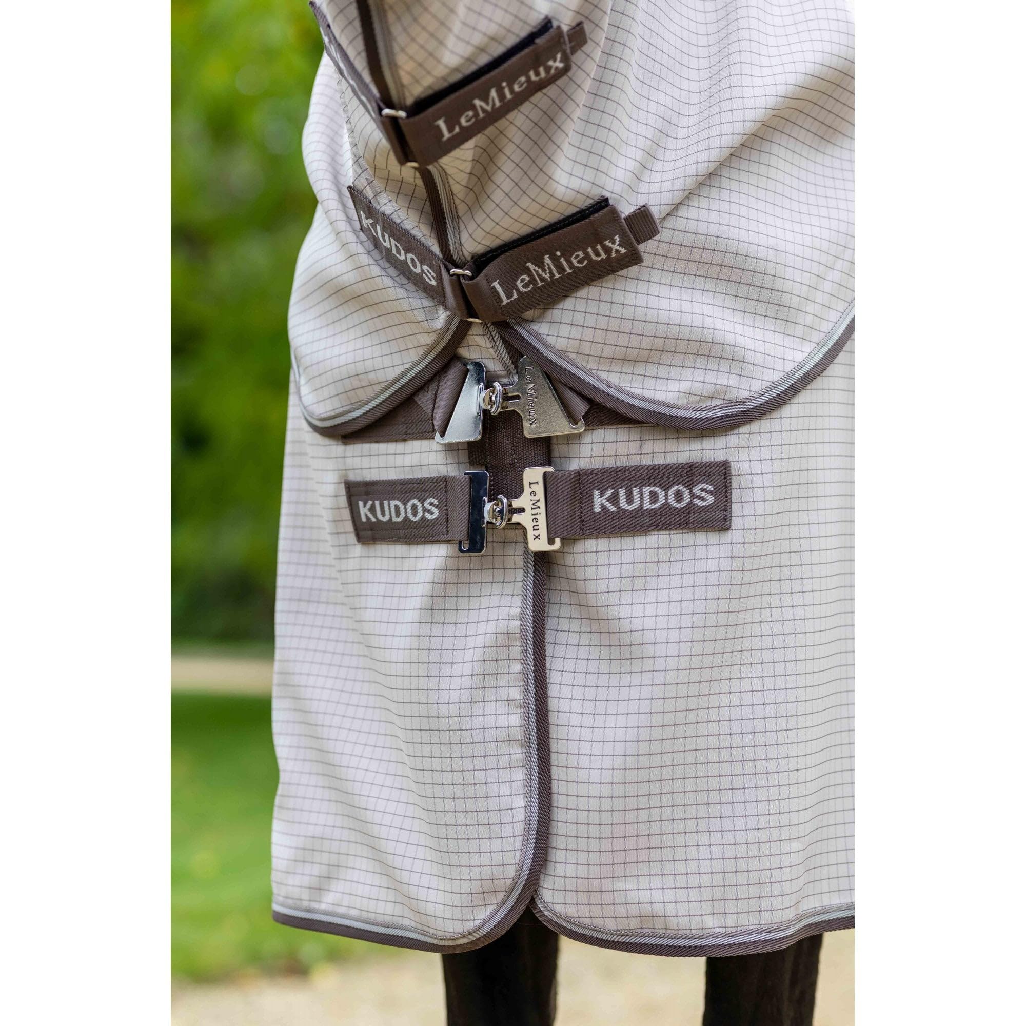 View 8