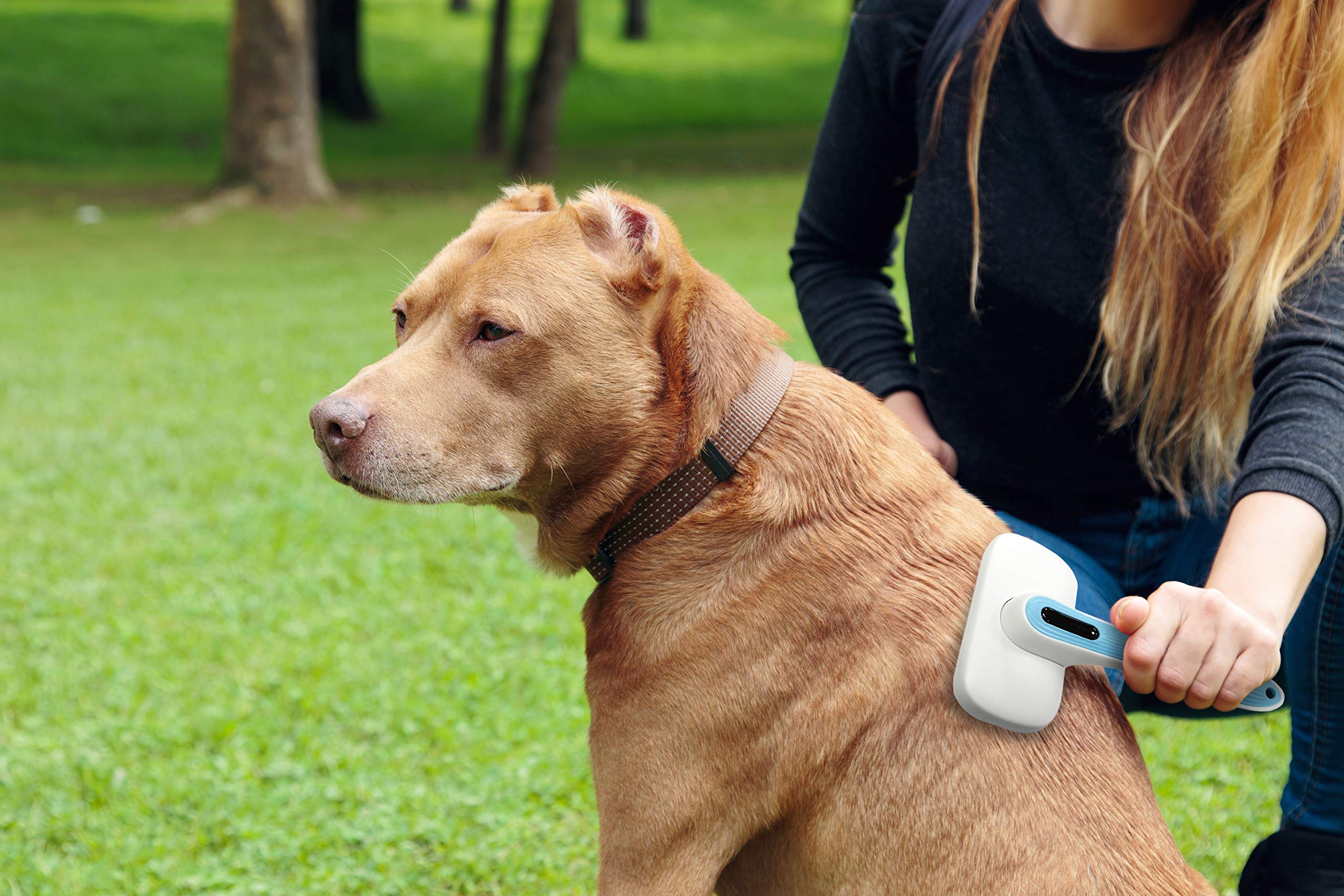Pets First Premium Hundebürste & Katzenbürste, selbstreinigend, Hundezupfhaarbürste, leicht zu reinigen, beste Haustierpflegebürsten für Hunde und Katzen, schönes Geschenk für den Fellpflege