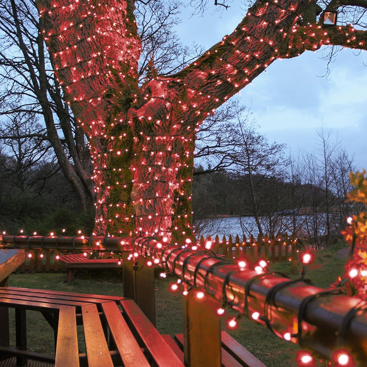 Festive Lights Red W/ Plug - Connectpro Outdoor Led String Fairy Lights - Connectable - Ip65 Rubber Black Cable | Wedding, Christmas, Garden, Commercial, Party (/Plug, 5M)