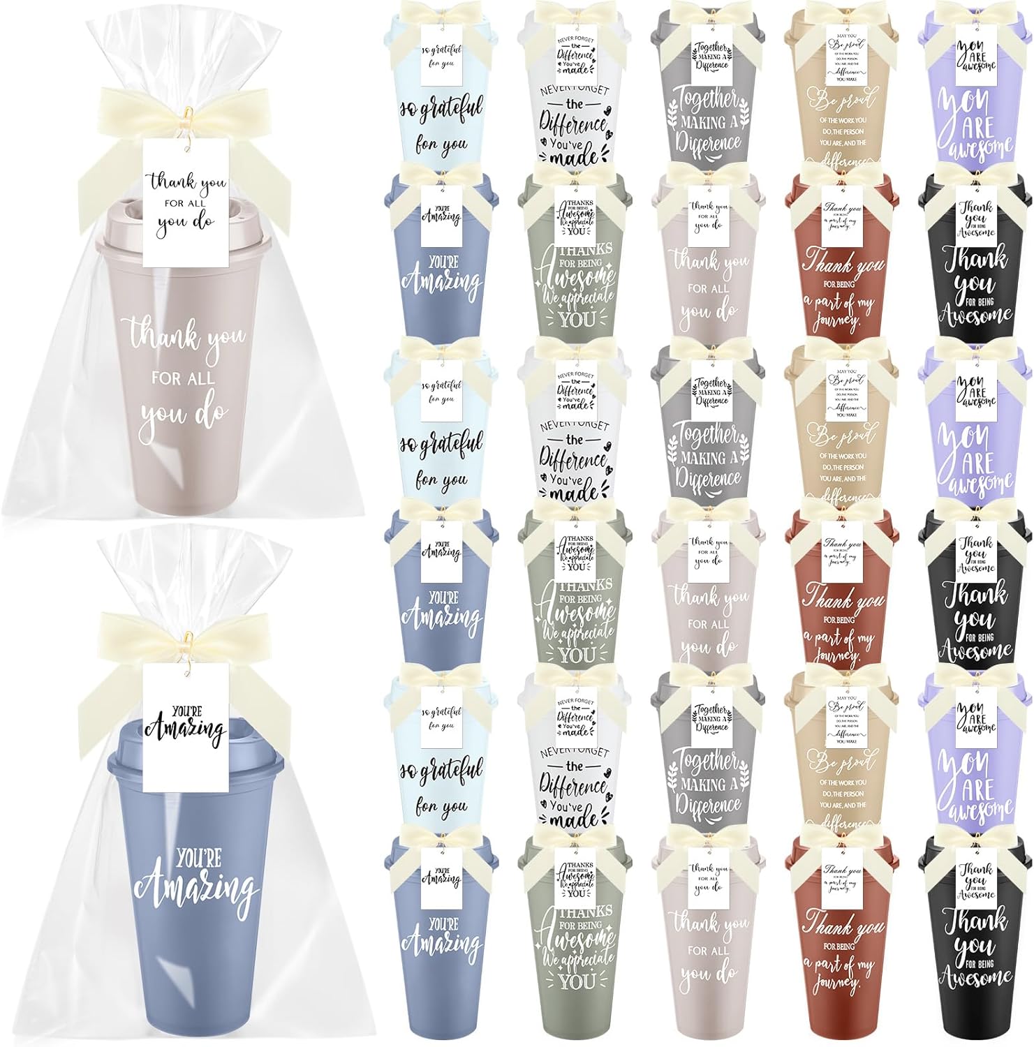 Skylety 30 Sets Employee Appreciation Gifts Bulk 16oz Morandi Colors Thank You Cups Inspirational Plastic Coffee Tumblers with Lid Card Bag for Employee Appreciation Day Team Coworker(Elegant)