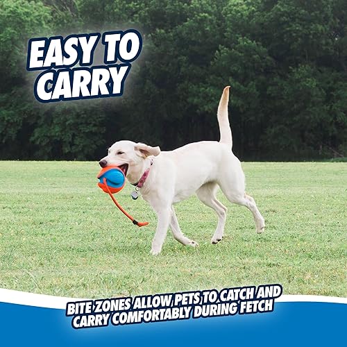 Miniatura 5 de Chuckit! Juguete de cuerda para perro, juguete para perros para interiores y exteriores