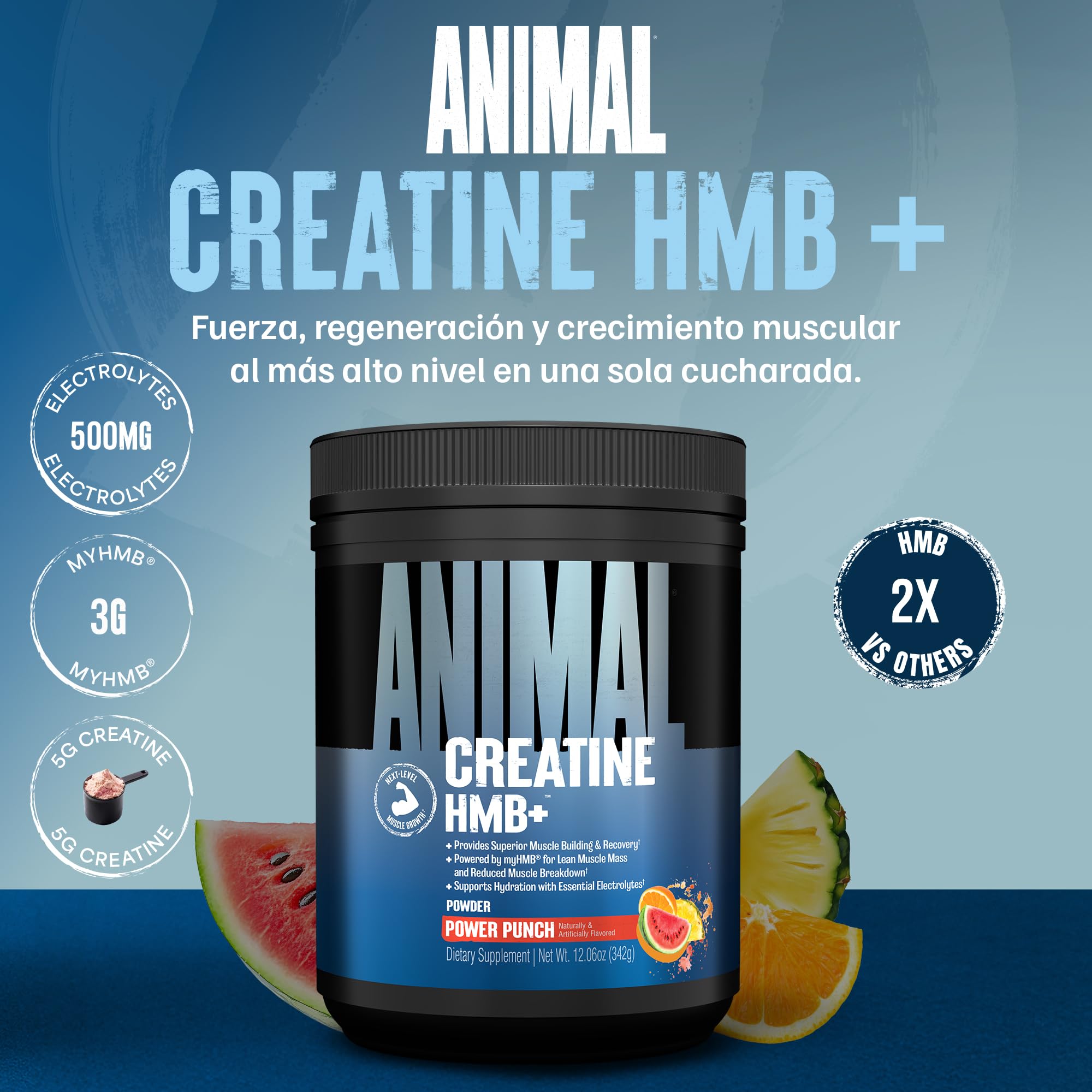 ANIMAL Creatine HMB+ - Creatina monohidrato en polvo con HMB y electrolitos - Favorece el crecimiento muscular, la regeneración y la resistencia - Power Punch, 30 porciones
