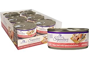 CORE Digestive Health Wet Cat Food: A Nourishing Choice for a Healthy Gut