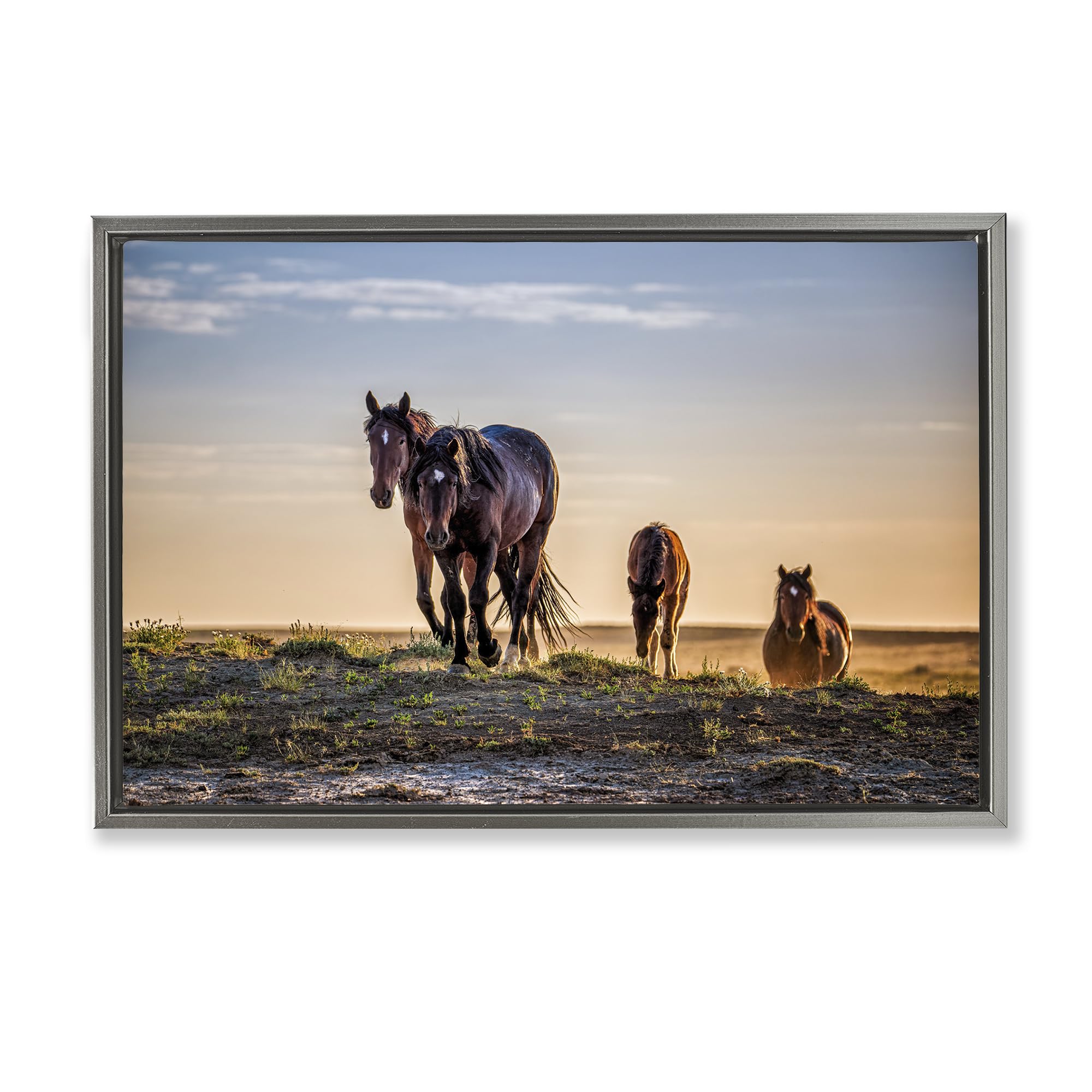 Stupell Industries 'Horses Coming Home', Floating Frame Canvas Art, Gray, 31 x 21 Inches, Easy to Hang and Sturdy, Made in USA, by Tim West